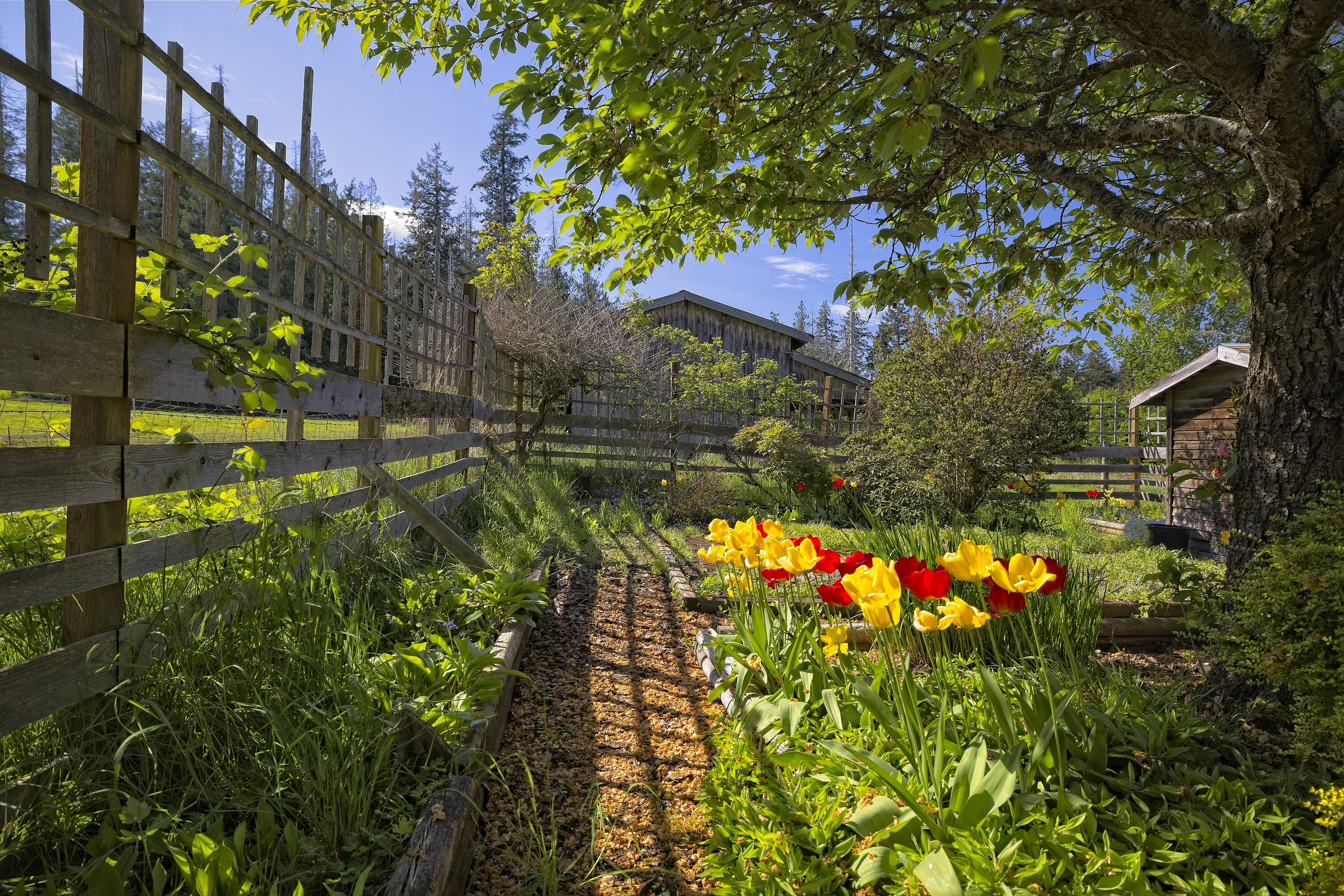  Bullfinch Farm - 物件實景