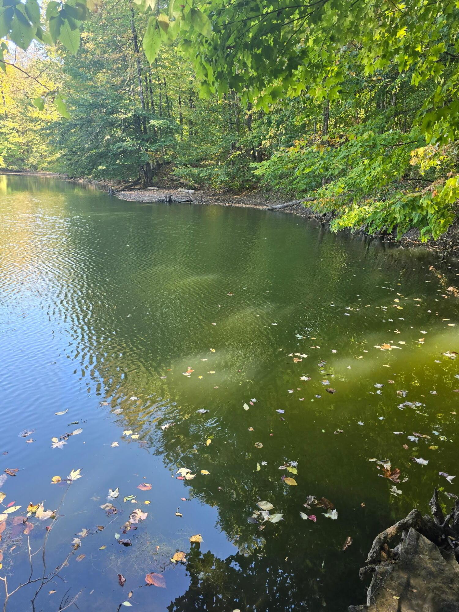 Cardington, Ohio, 43315, United States, 3 Bedrooms Bedrooms, ,2 BathroomsBathrooms,Residential,For Sale,1983191