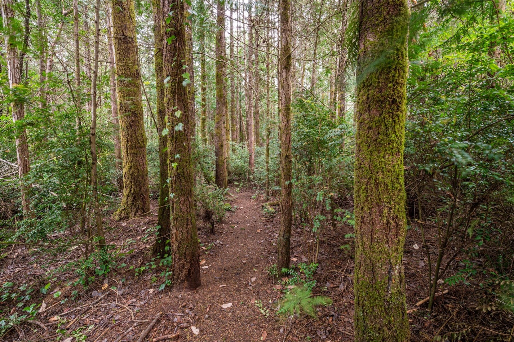  87444 WHISTLING LN Bandon, OR 97411 - 物件實景