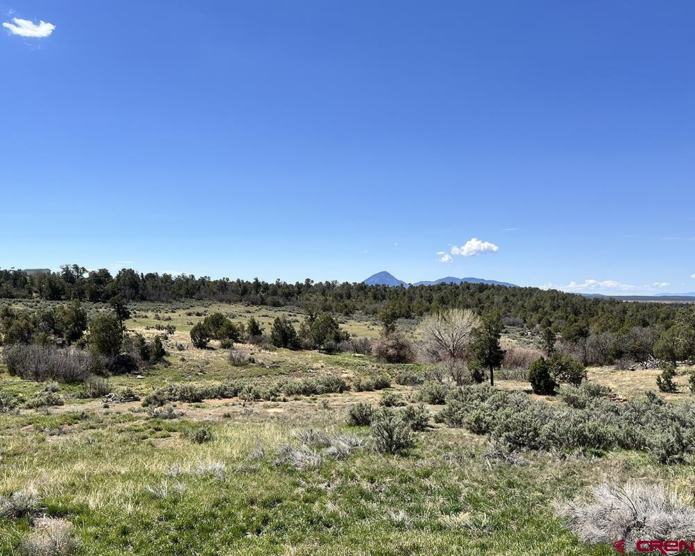 Yellow Jacket, Colorado, 81335, United States, 4 Bedrooms Bedrooms, ,3 BathroomsBathrooms,Residential,For Sale,2005378