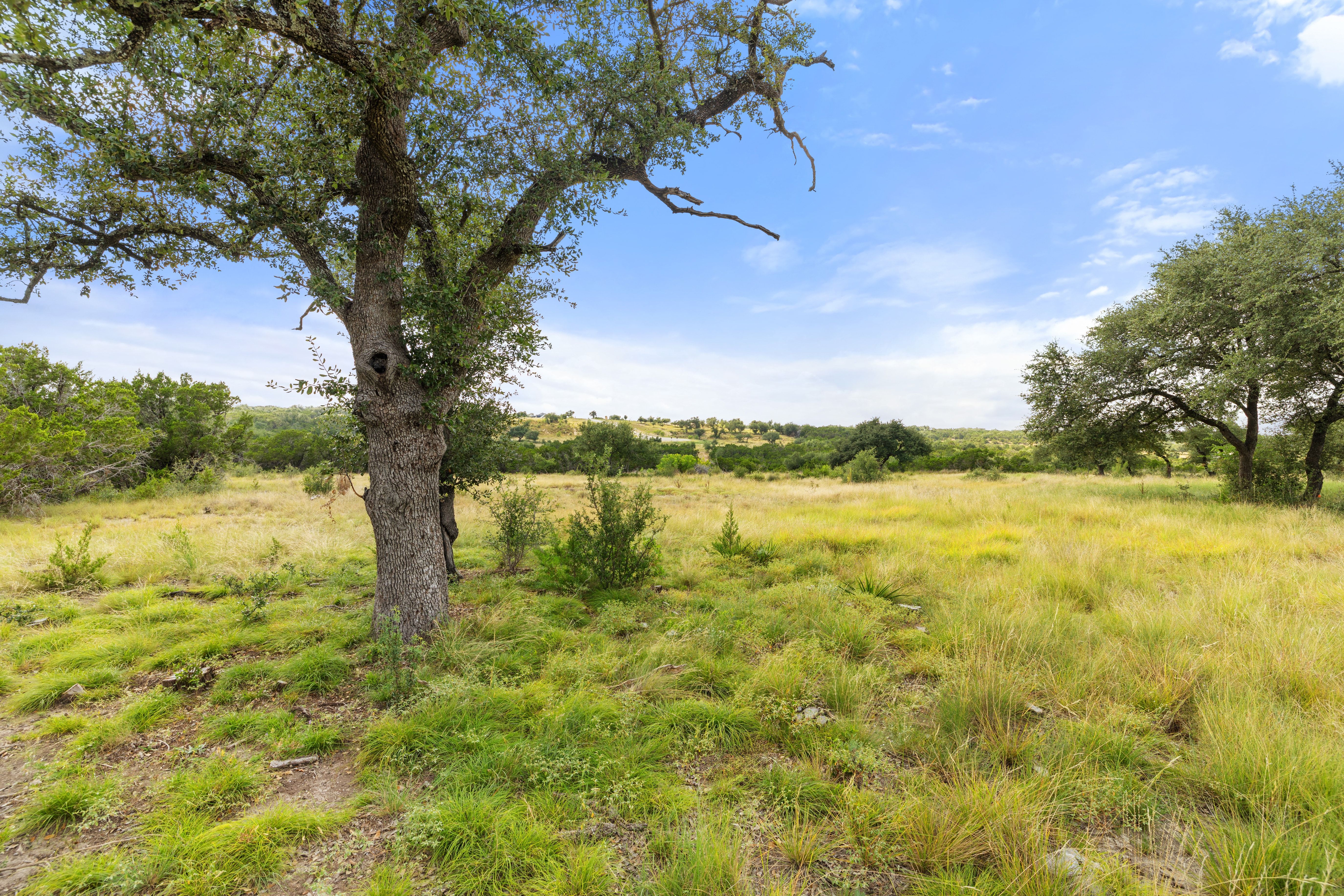  Dream Home Worthy 5 Acre Lot - 147 East Flying Owl Drive - 物件實景