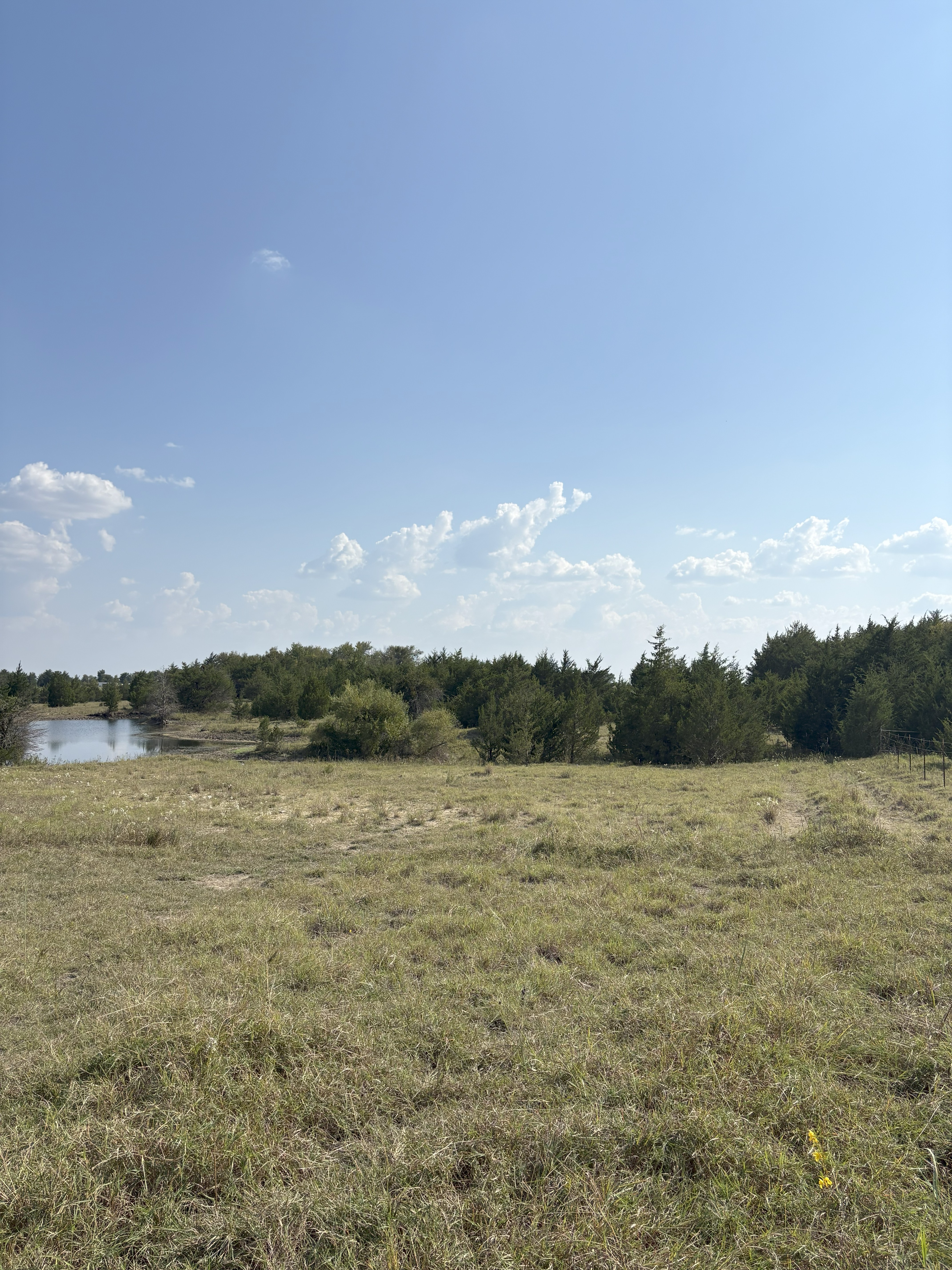 Roxton, Texas, 75477, United States, ,Land,For Sale,1979032