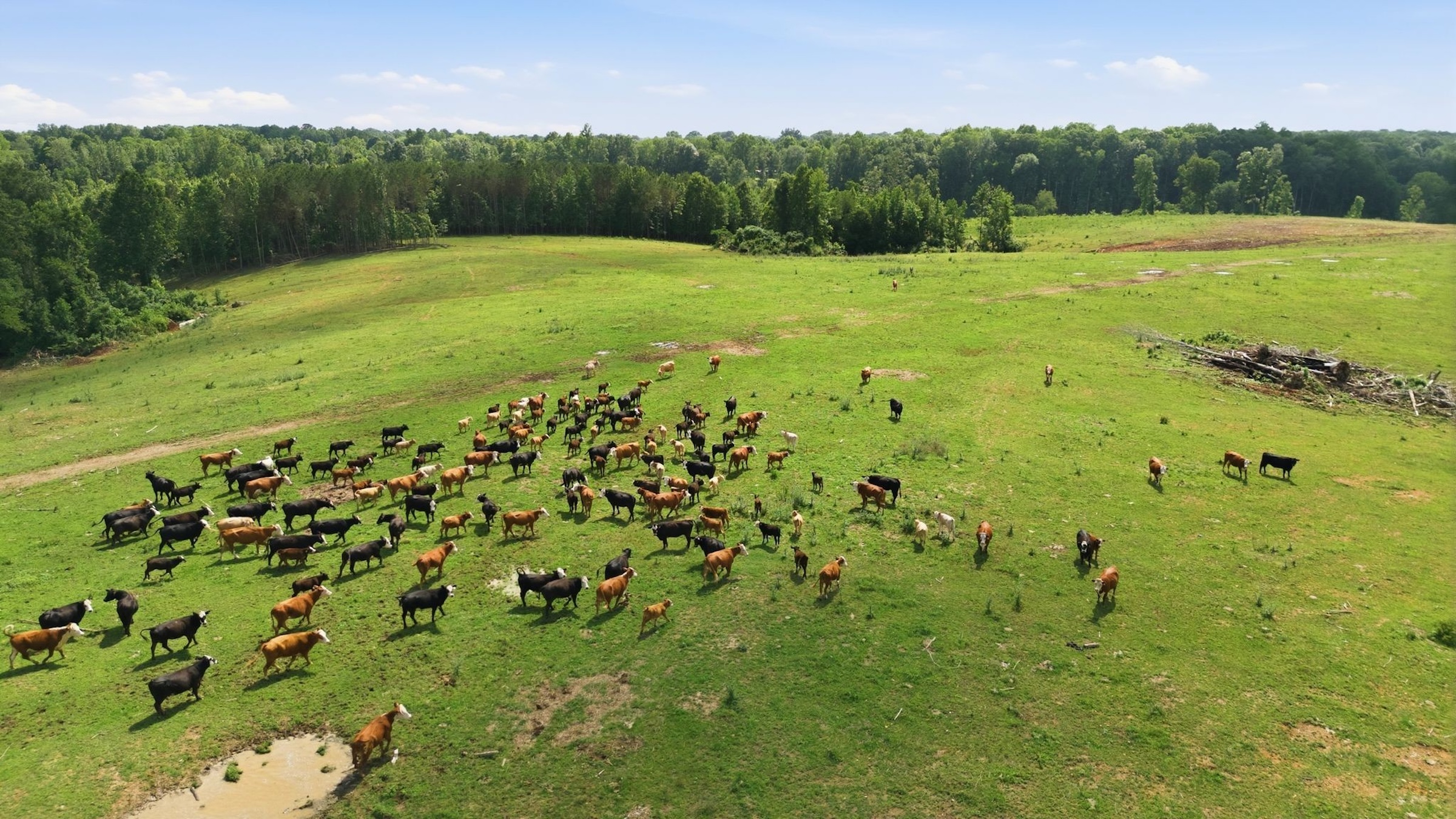  925 Sumac Rd, Pulaski, TN, 38478 - 物件實景