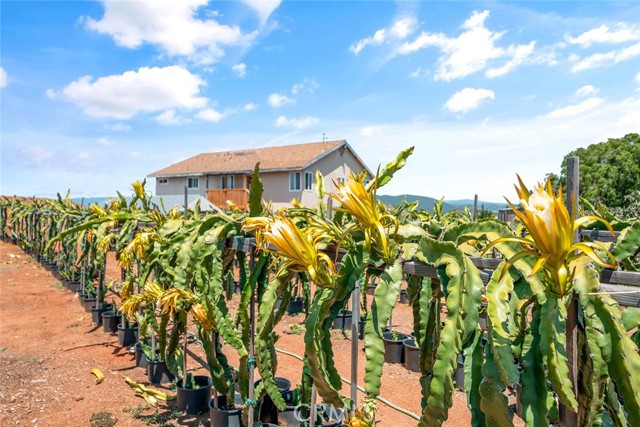 Fallbrook, California, 92028, United States, 2 Bedrooms Bedrooms, ,3 BathroomsBathrooms,Residential,For Sale,1979251