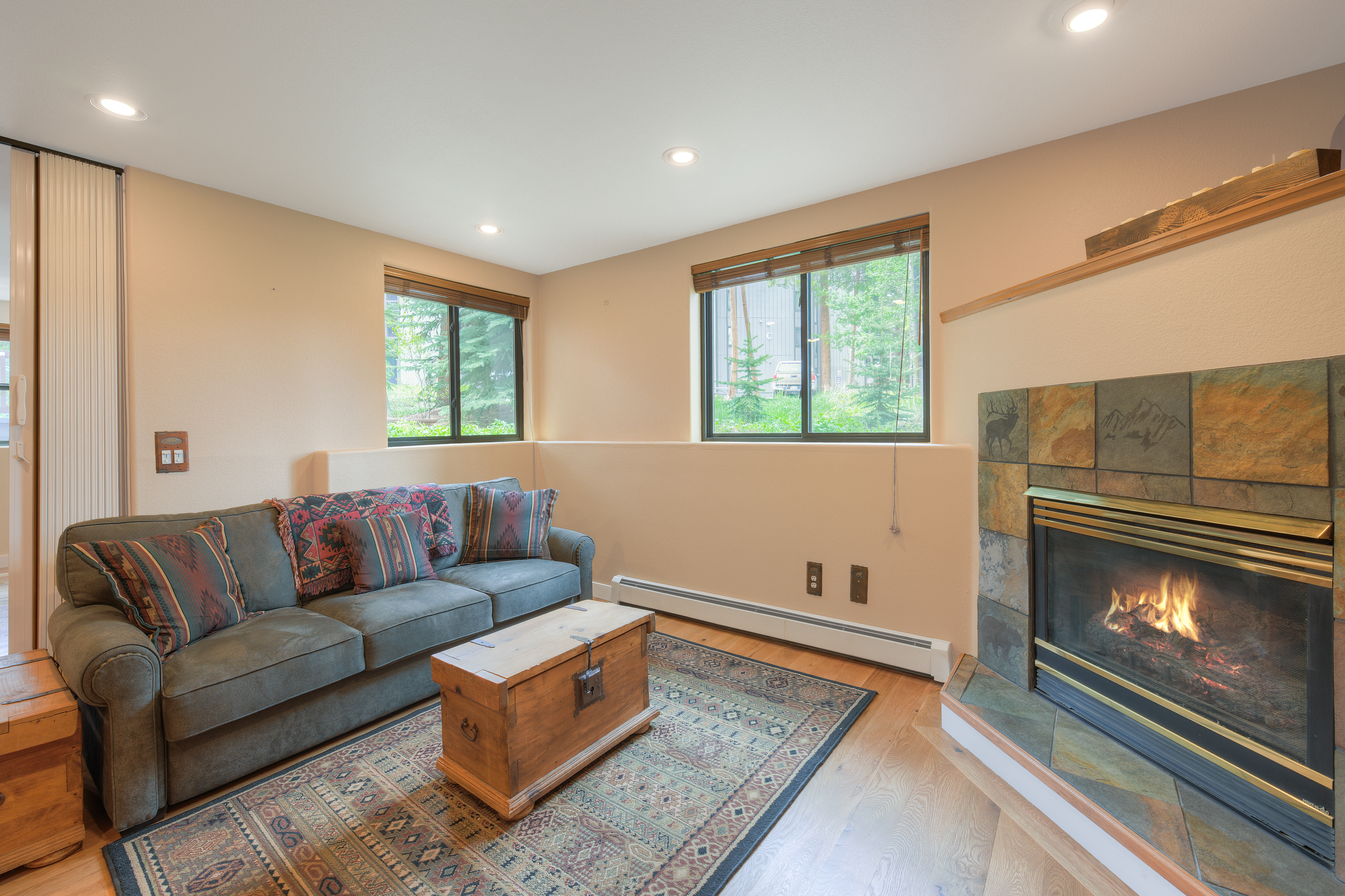  114 Park Forest Drive, Breckenridge, CO, 80424 - 物件實景