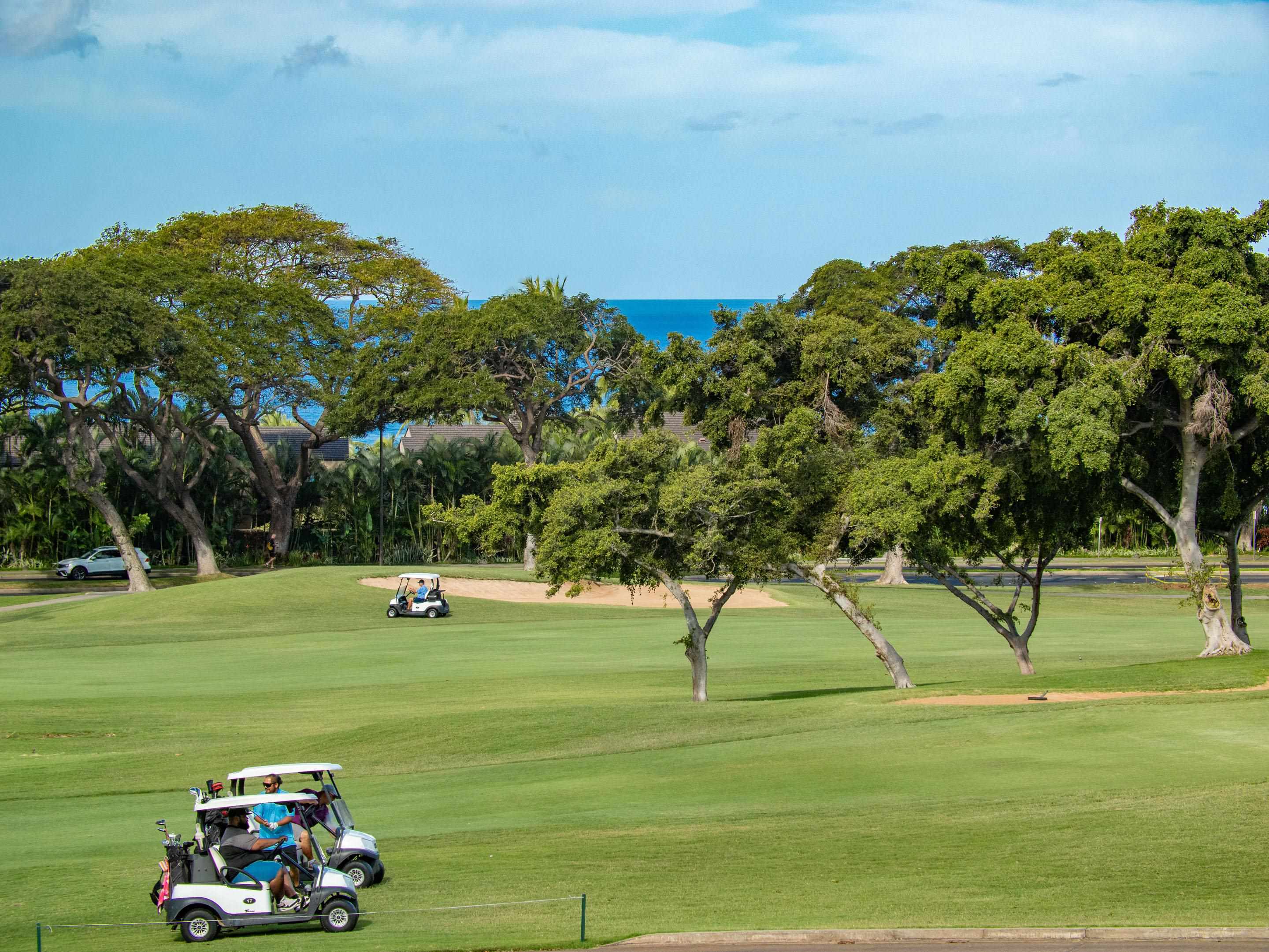 Kihei, Hawaii, 96753, United States, 1 Bedroom Bedrooms, ,2 BathroomsBathrooms,Residential,For Sale,1770410