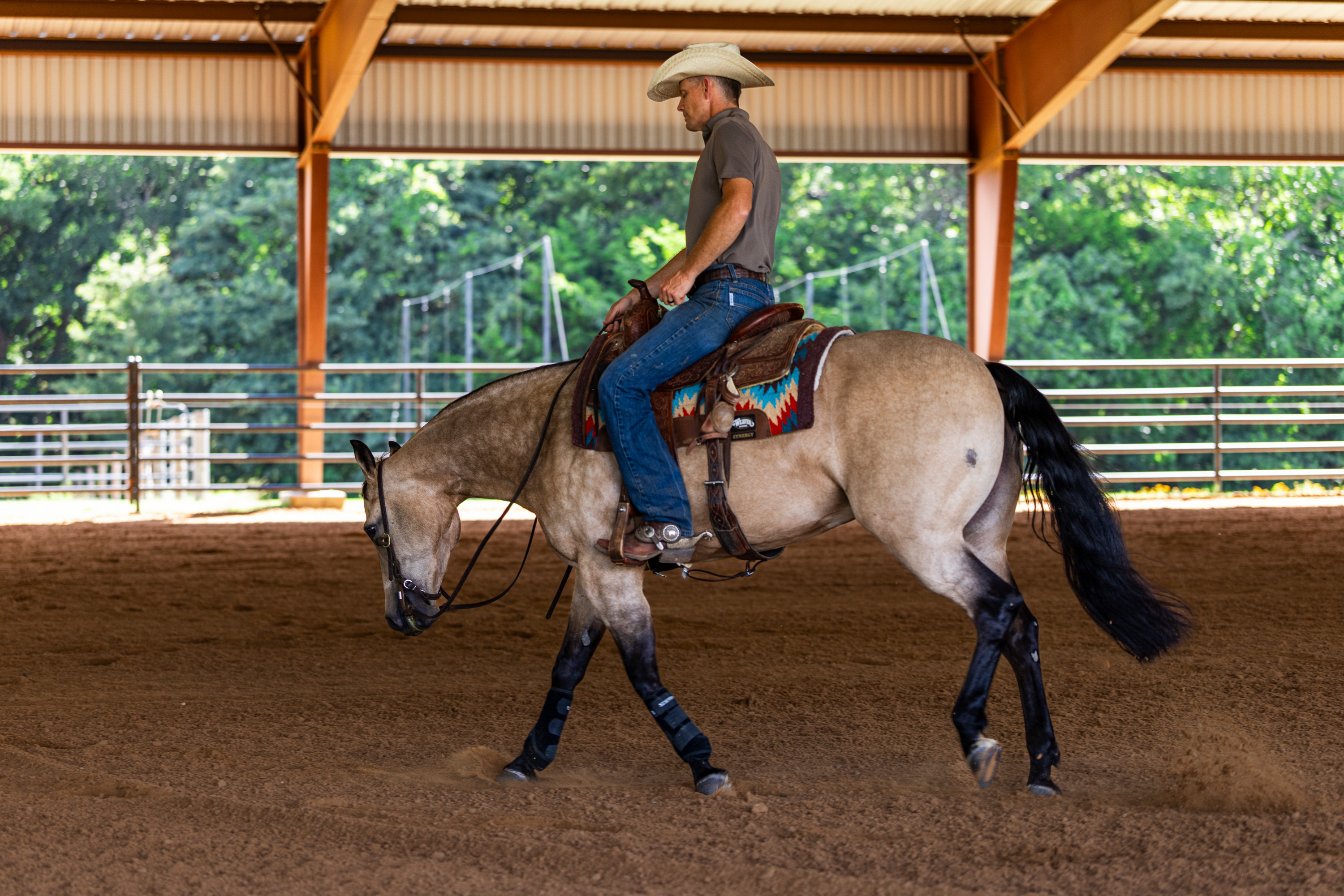  Walnut Creek Horse Farm - 物件實景
