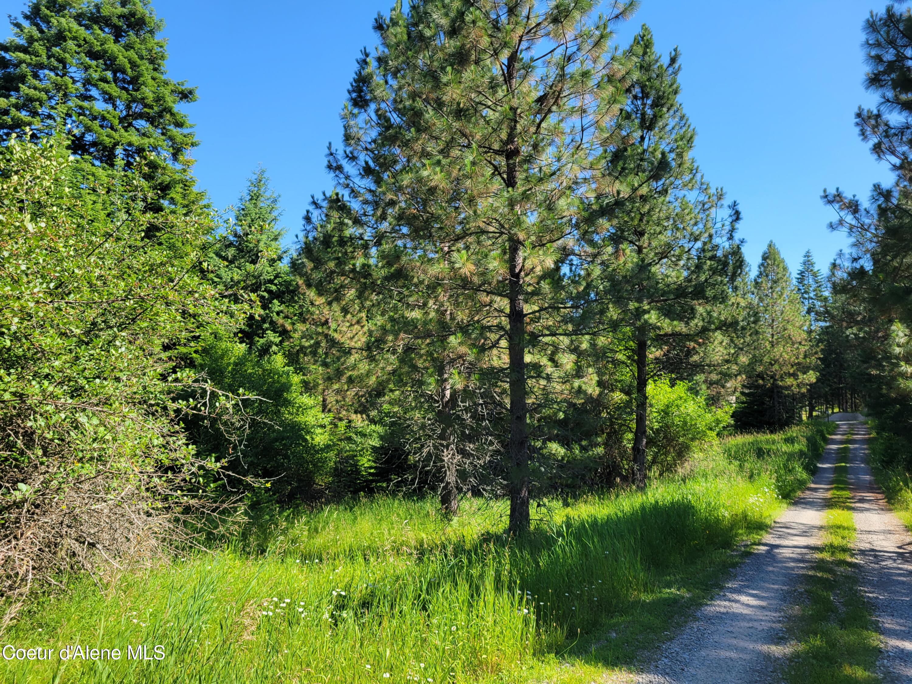 Coeur d'Alene, Idaho, 83814, United States, ,Residential,For Sale,1937421