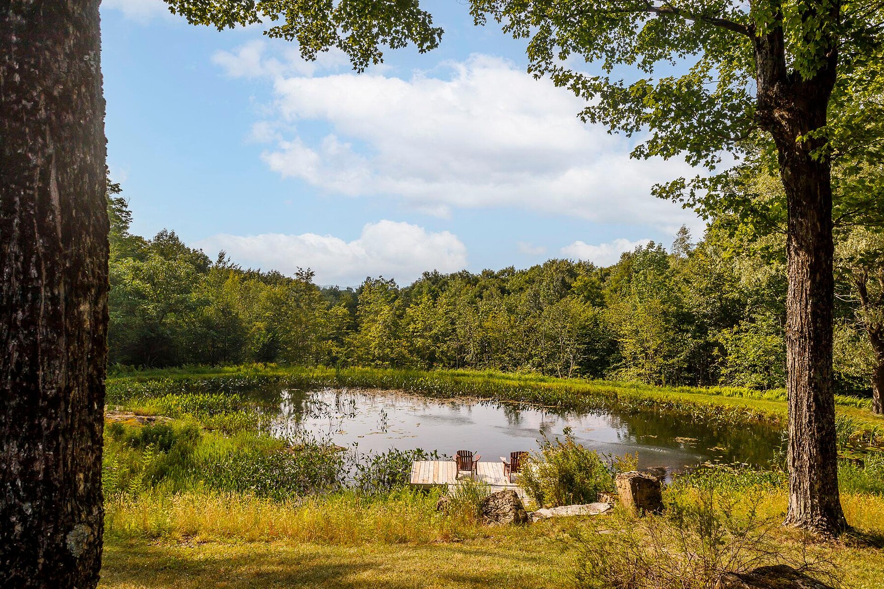  Lac-Brome, Eastern Townships - 物件實景