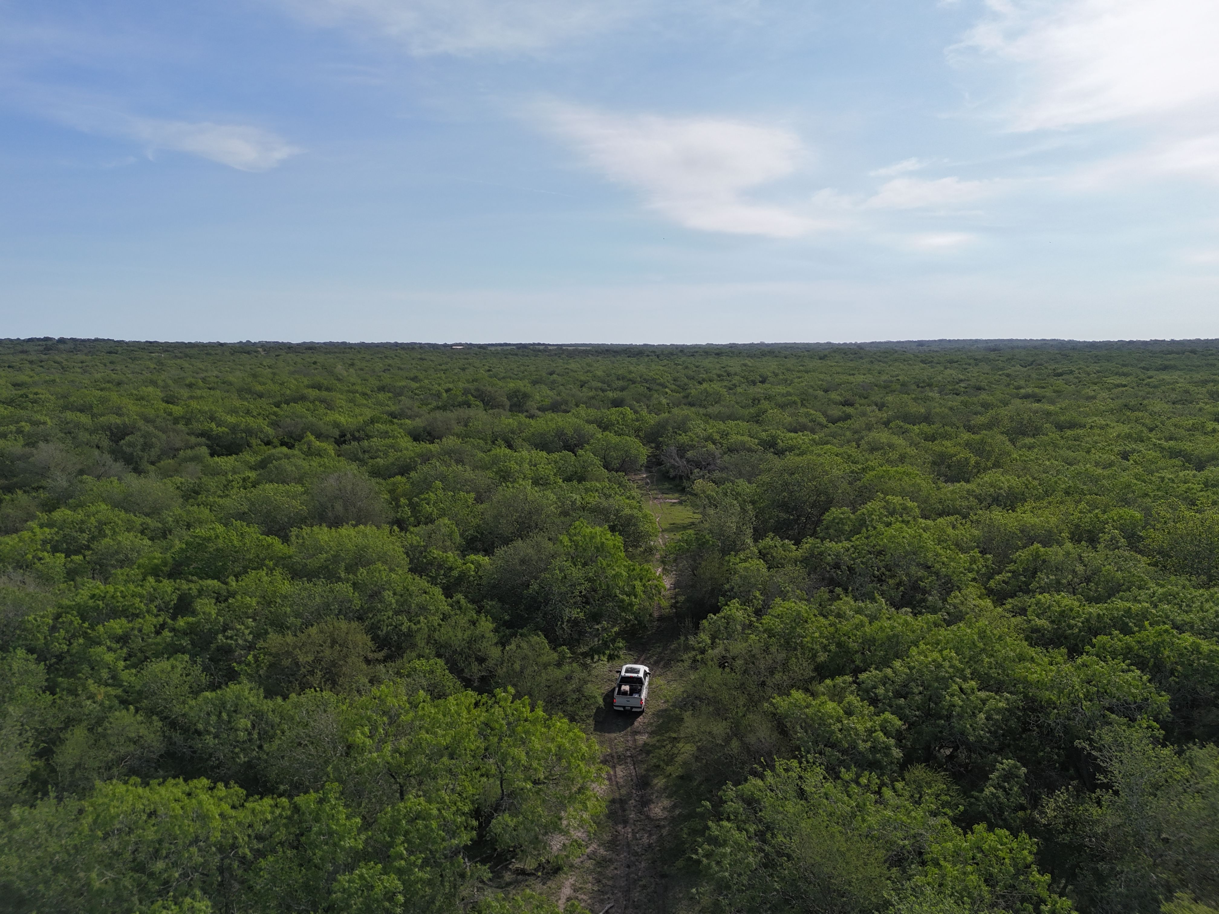  810+/- Acre Cabeza Creek Ranch - 物件實景