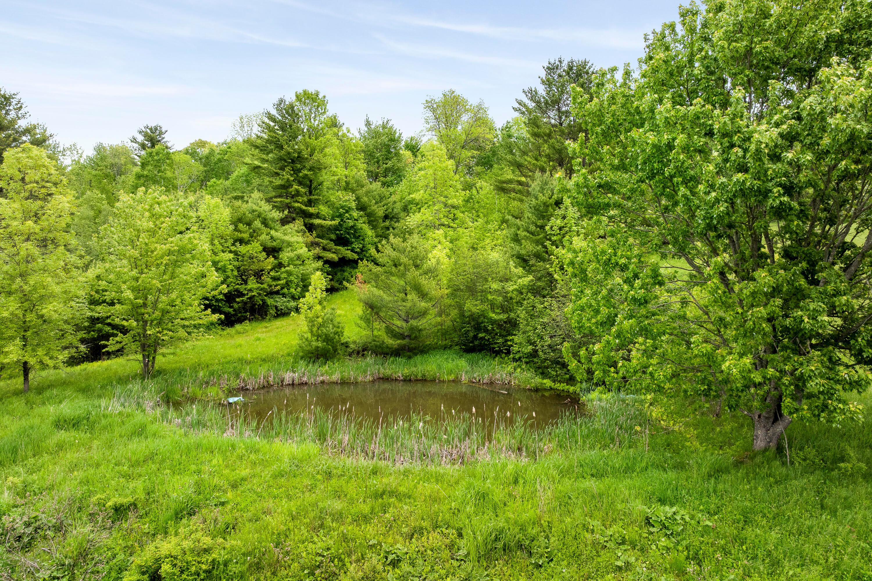  320 E Pittston Road - 物件實景
