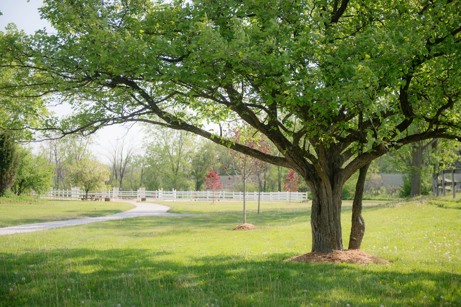 Green Oaks, Illinois, 60048, United States, ,Land,For Sale,1980165