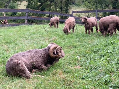 Winona, Minnesota, 55987, United States, 5 Bedrooms Bedrooms, ,2 BathroomsBathrooms,Residential,For Sale,2005788