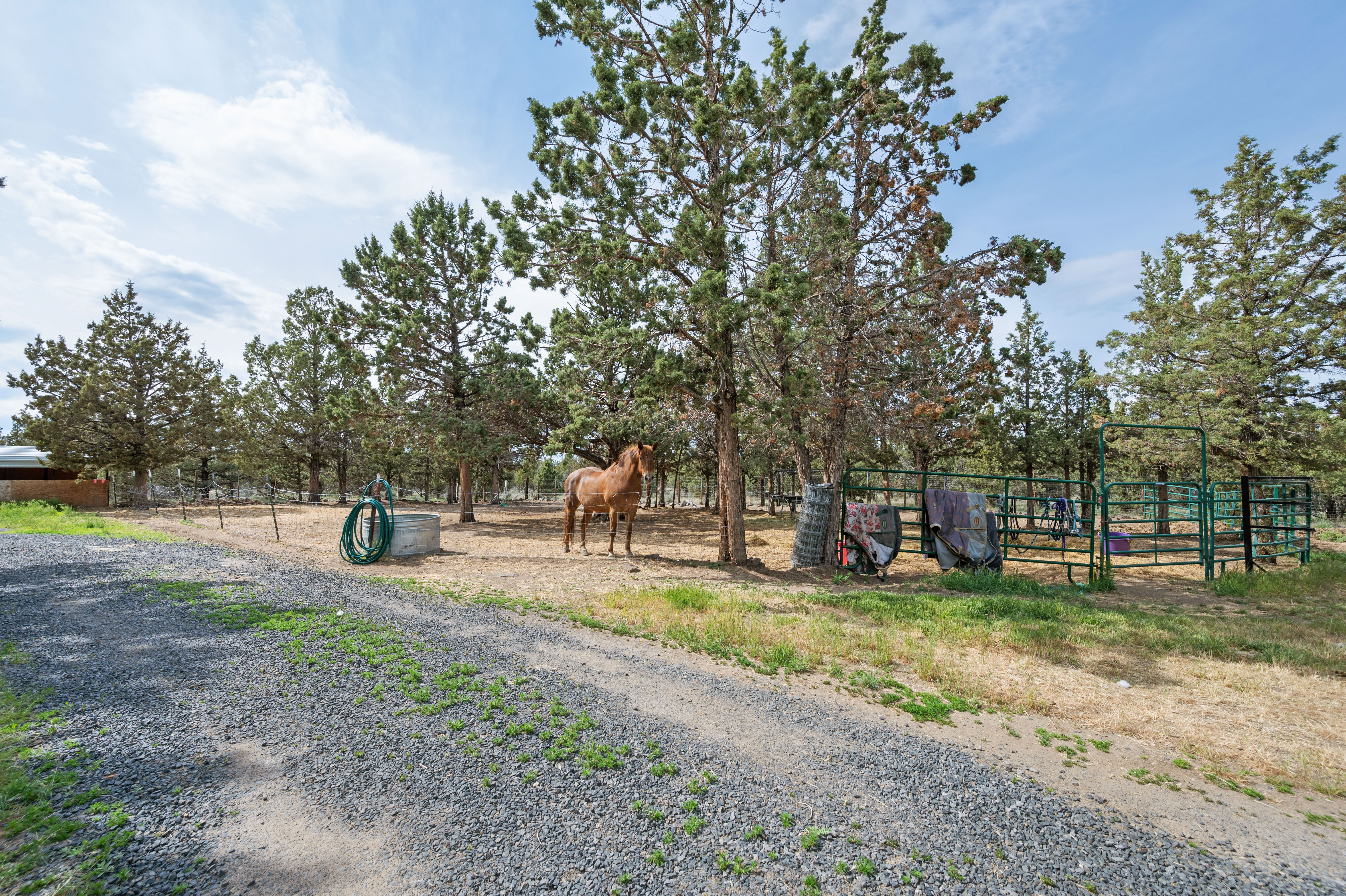 Prineville, Oregon, 97754, United States, 3 Bedrooms Bedrooms, ,2 BathroomsBathrooms,Residential,For Sale,1821437