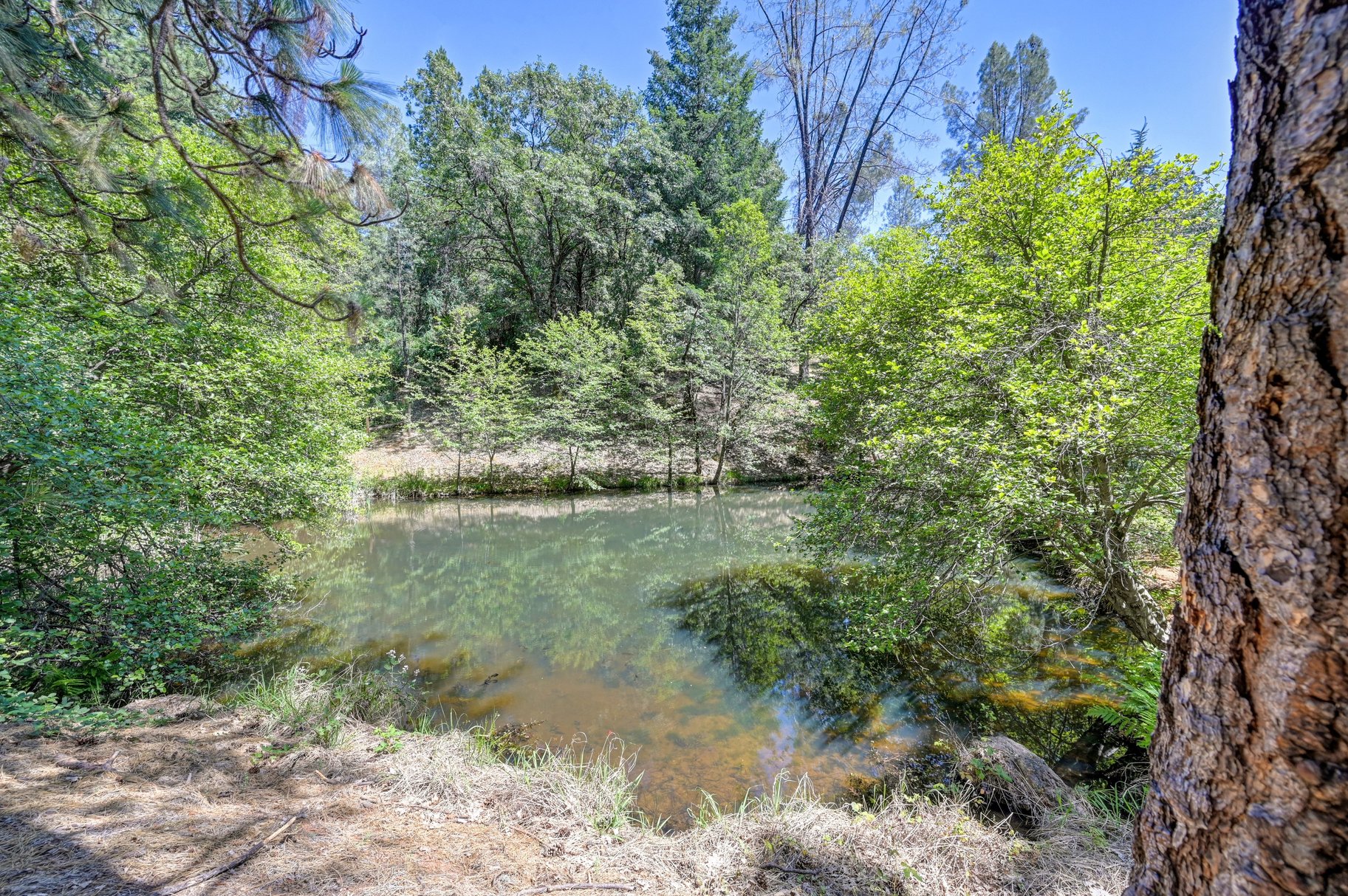  Immaculately Maintained Country Retreat on Acreage with pond - 物件實景