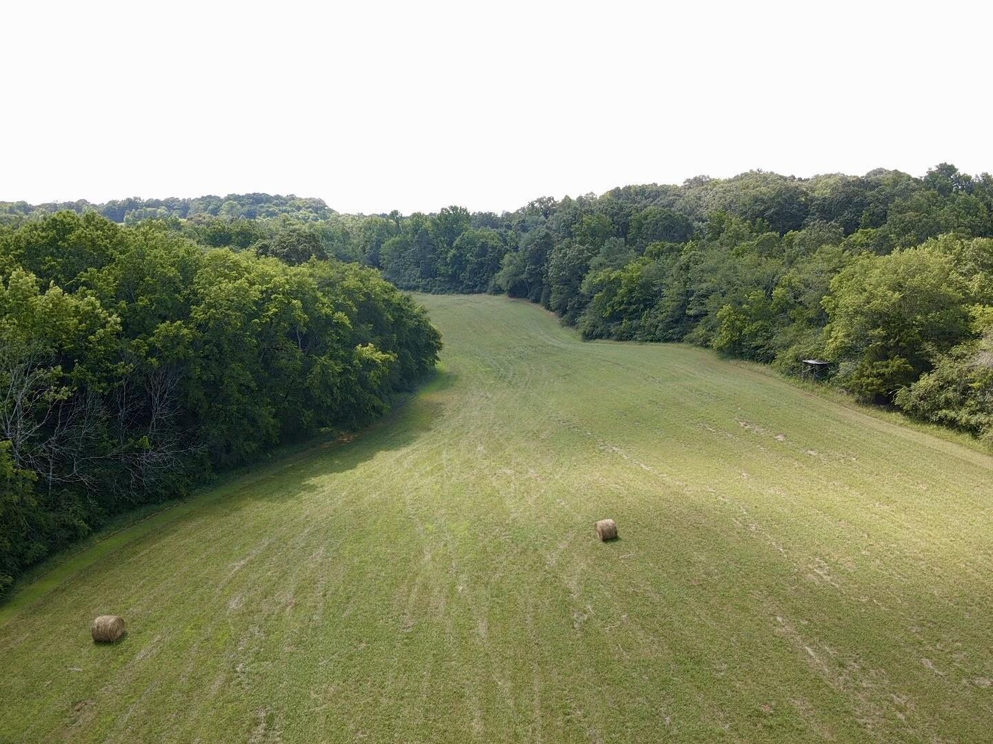 Bryant, Alabama, 35958, United States, ,Land,For Sale,1982684