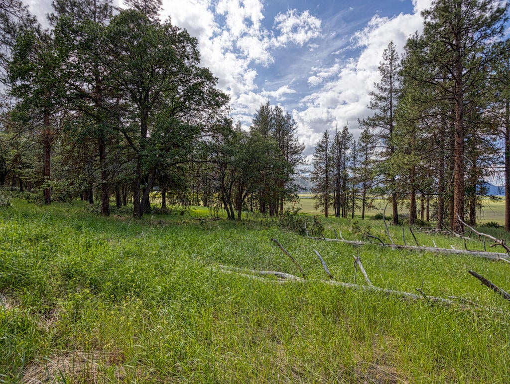 Klamath Falls, Oregon, 97601, United States, ,Land,For Sale,1793869