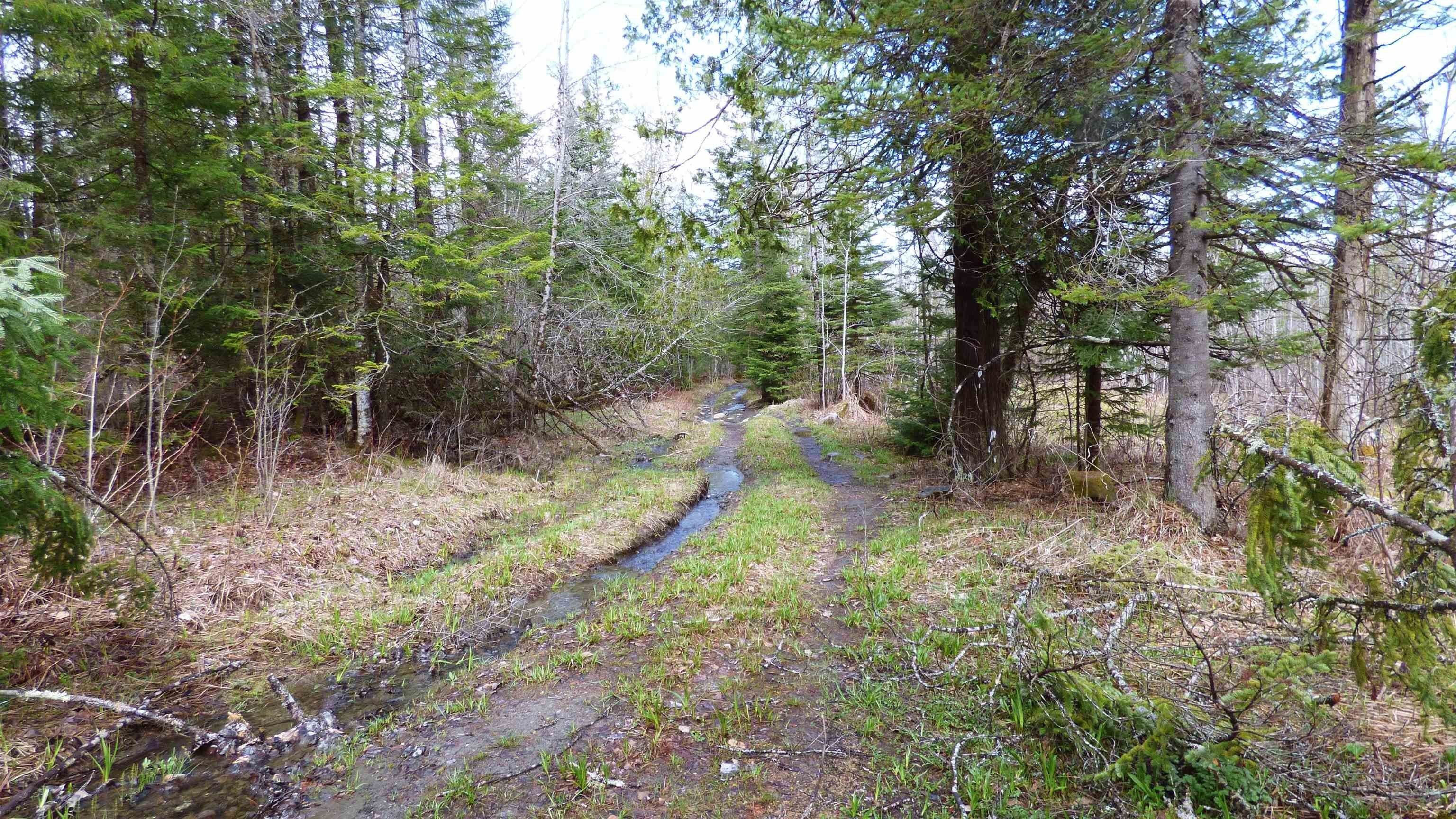 Wheelock, Vermont, 05851, United States, ,Land,For Sale,2017669