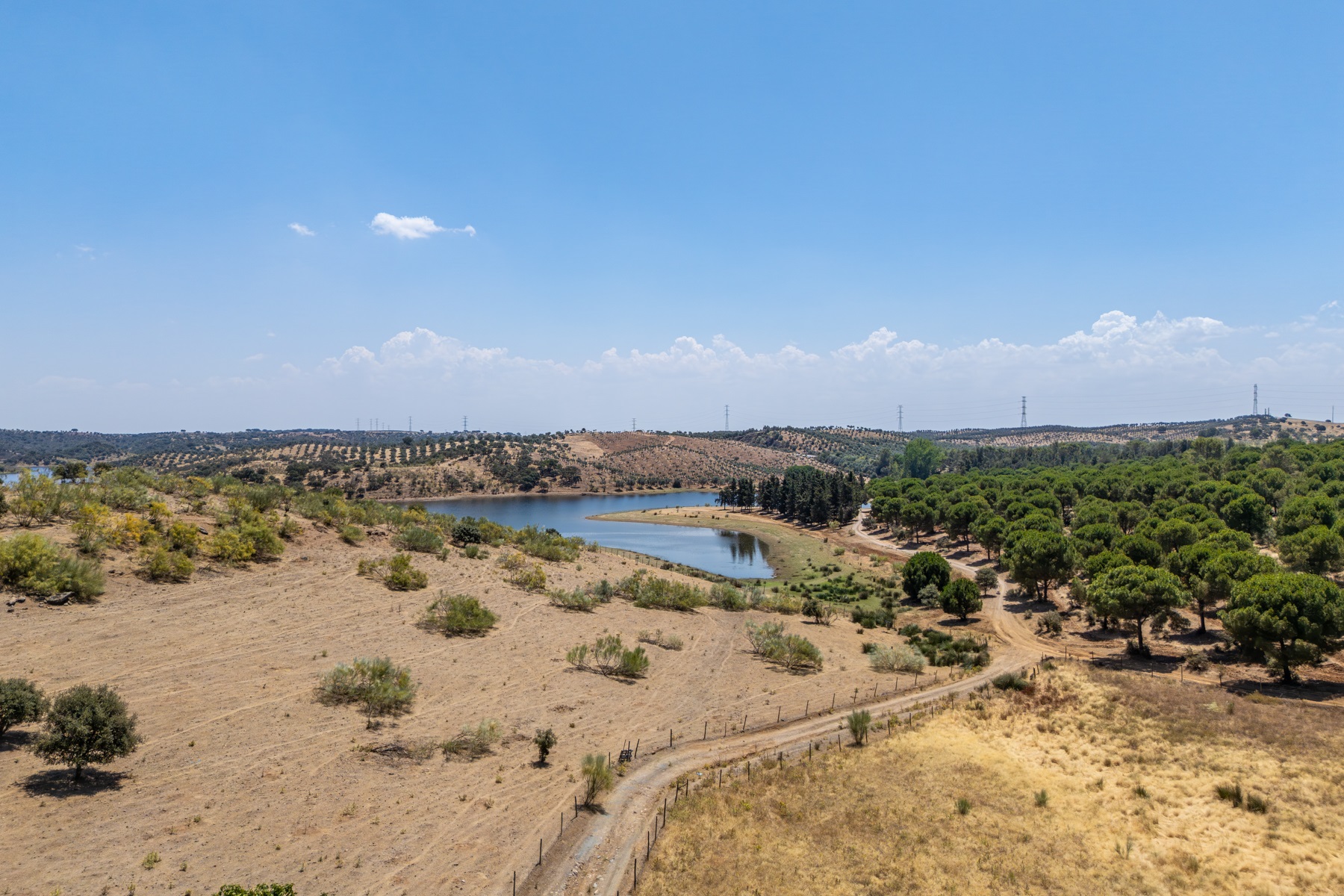  Country Estate for Sale - 物件實景