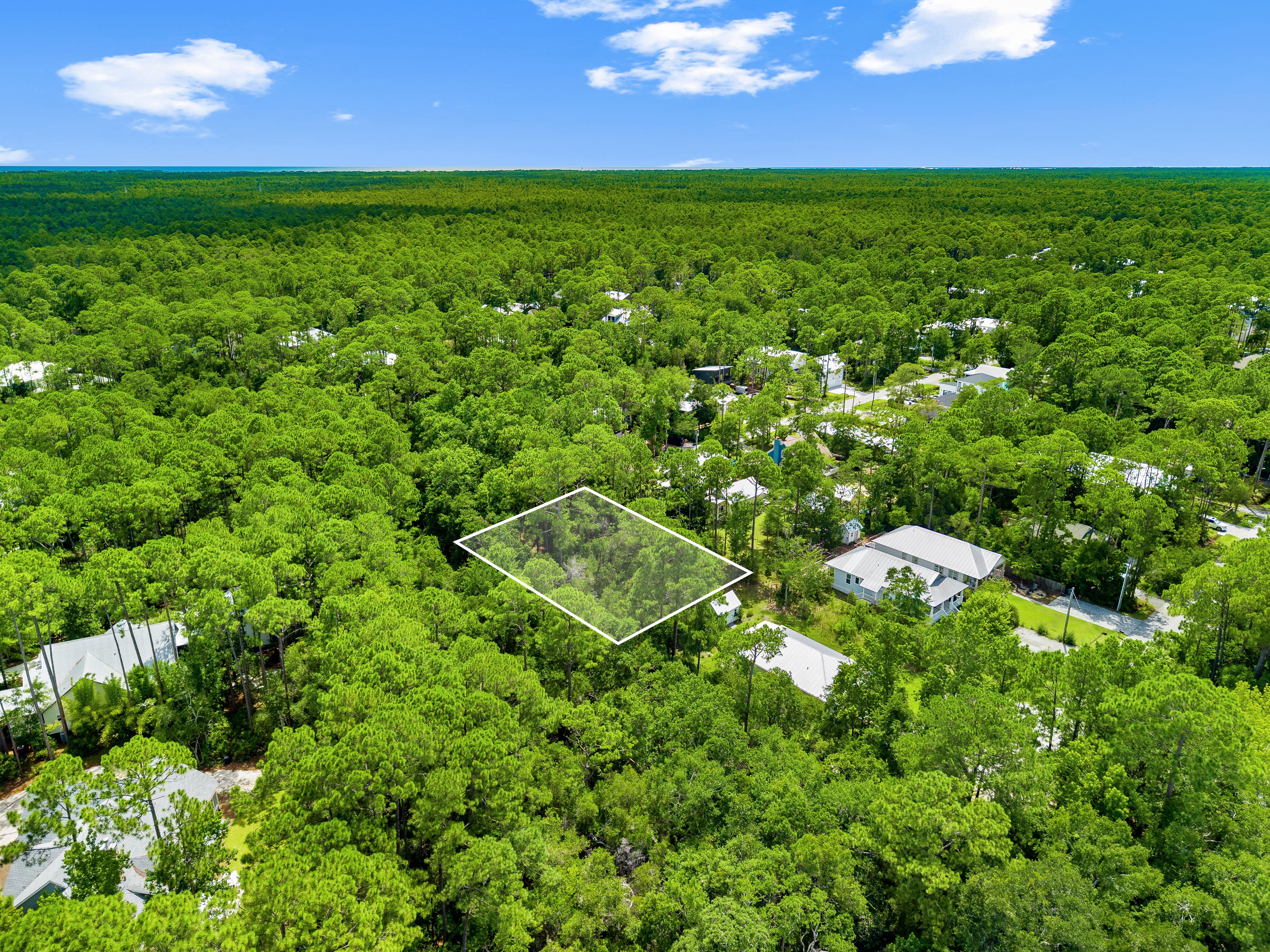  Expansive Point Washington Homesite Near the Bay & 30A - 物件實景