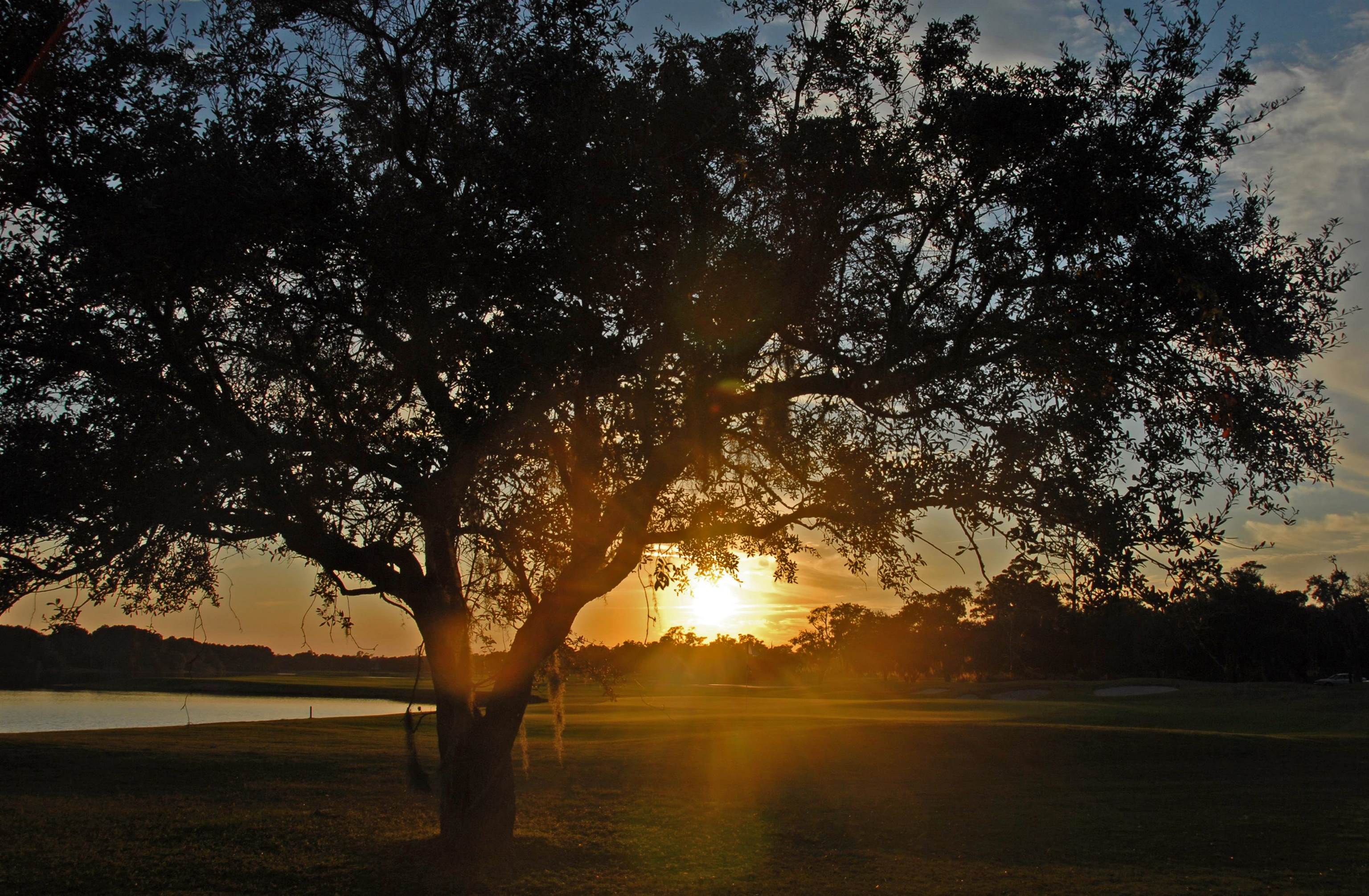  110 Swan Point Trail  DeBordieu Colony - 物件實景