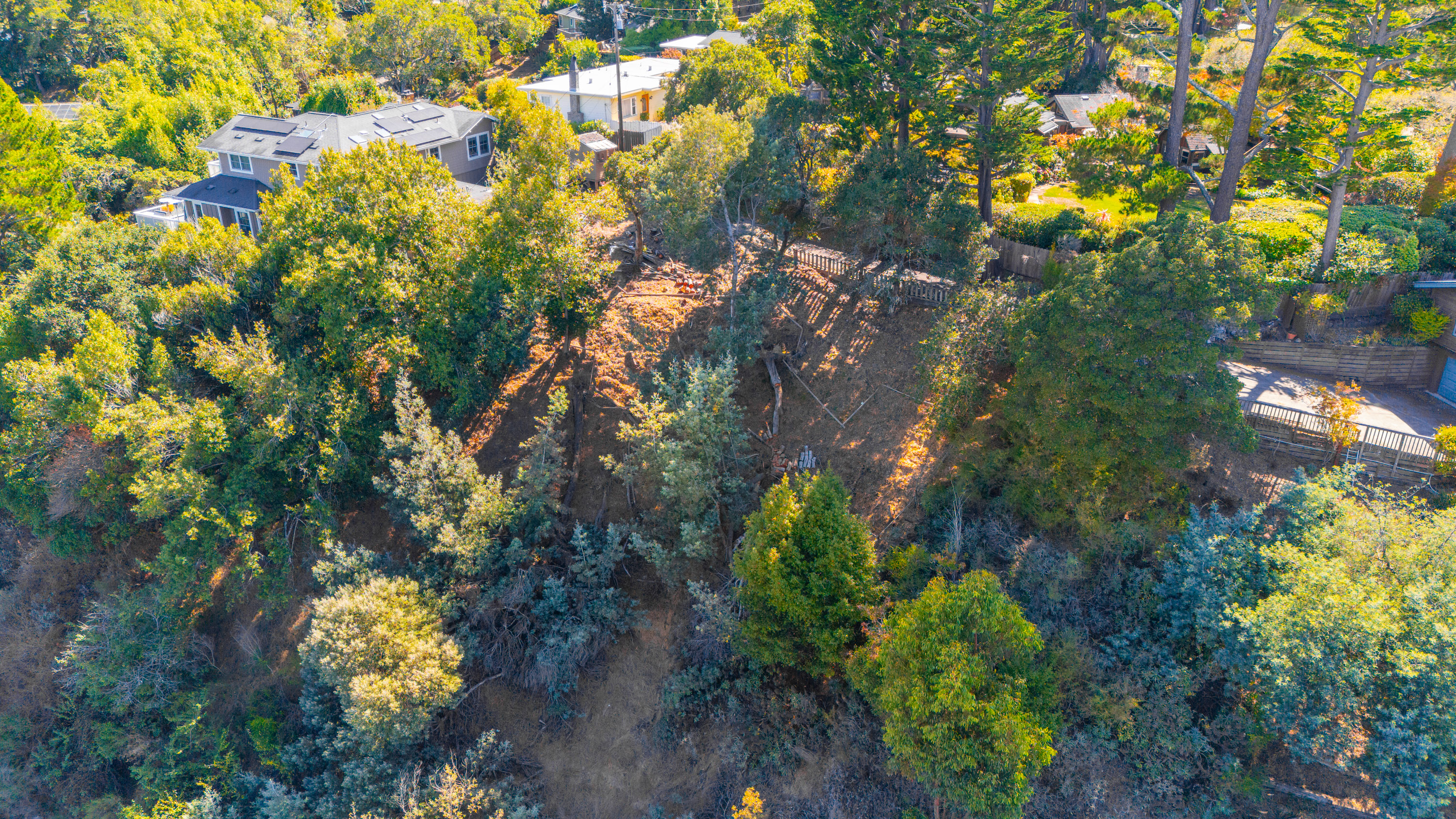  Exceptional Mill Valley Lot with Expired Approved Plans - 物件實景