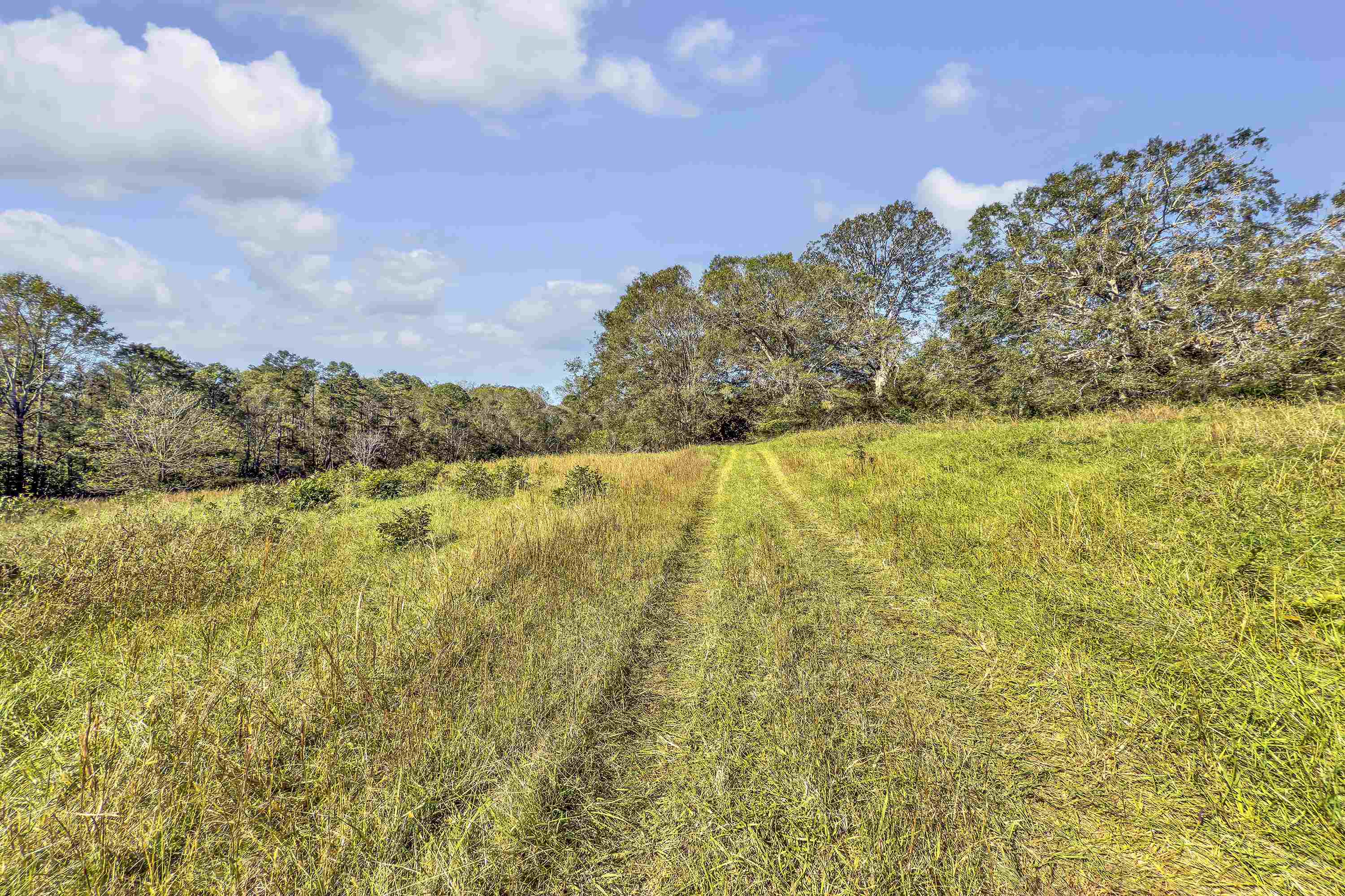 Old Converse Road, Spartanburg, South Carolina, 29301, United States, ,Land,For Sale,Old Converse Road,1646994