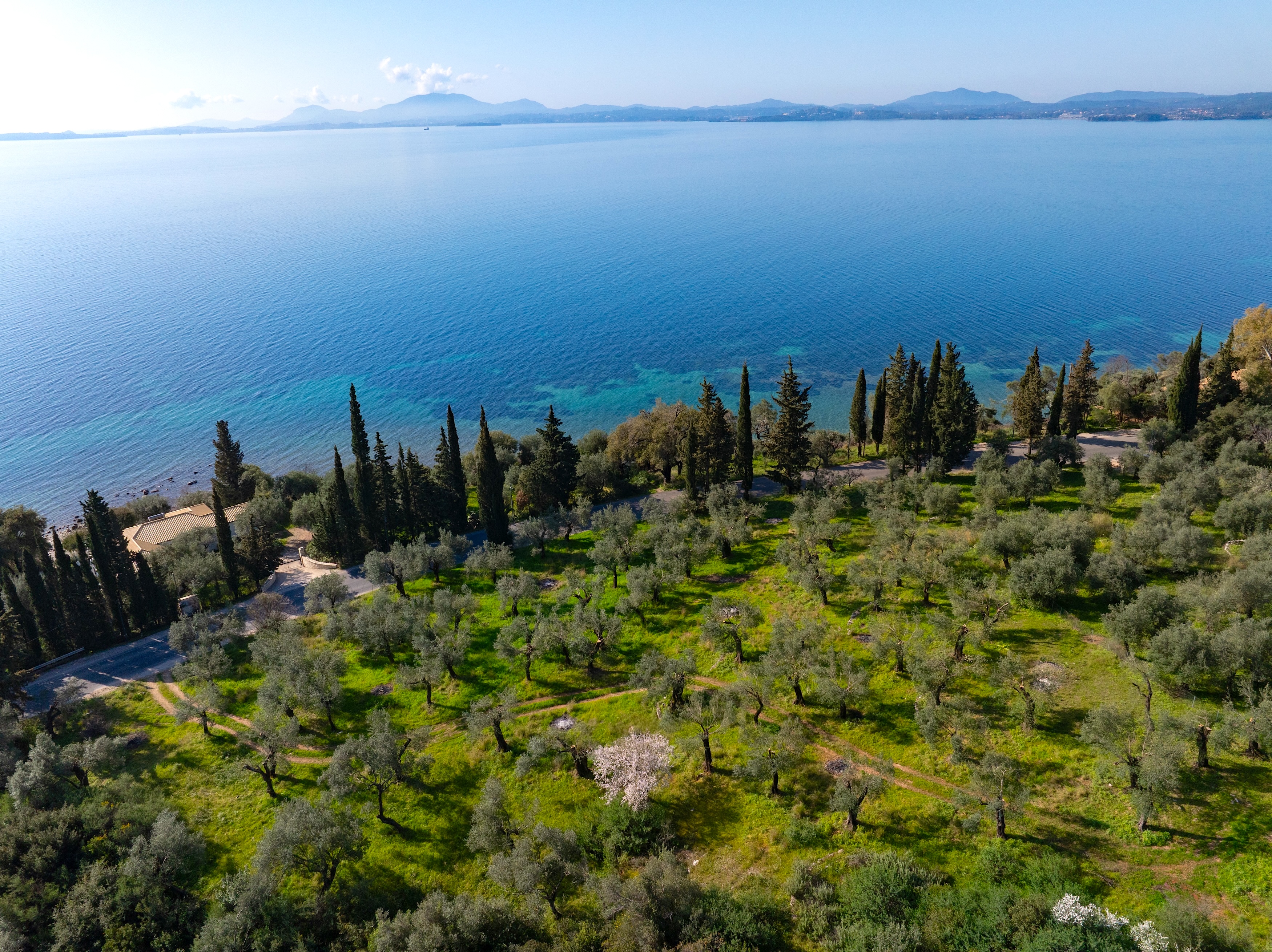  Ariti - 物件實景