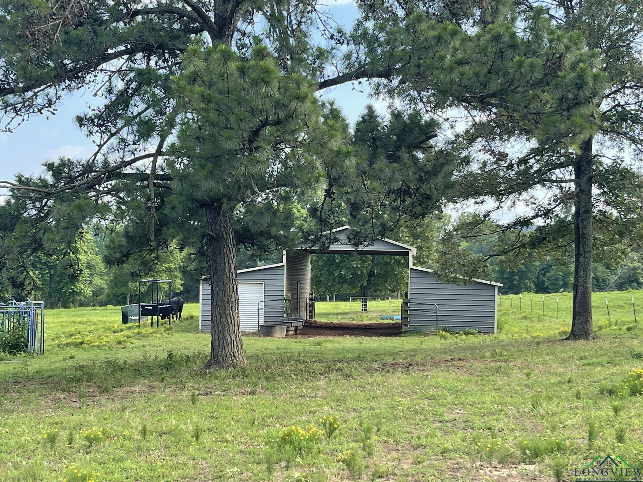 Gilmer, Texas, 75644, United States, 3 Bedrooms Bedrooms, ,2 BathroomsBathrooms,Residential,For Sale,1847700