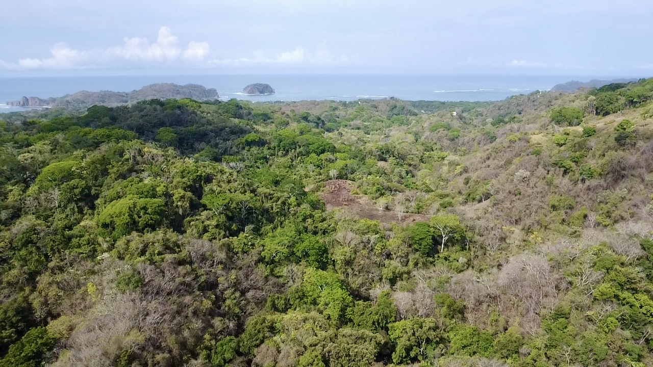 Samara, Guanacaste, CR, ,Land,For Sale,1838458