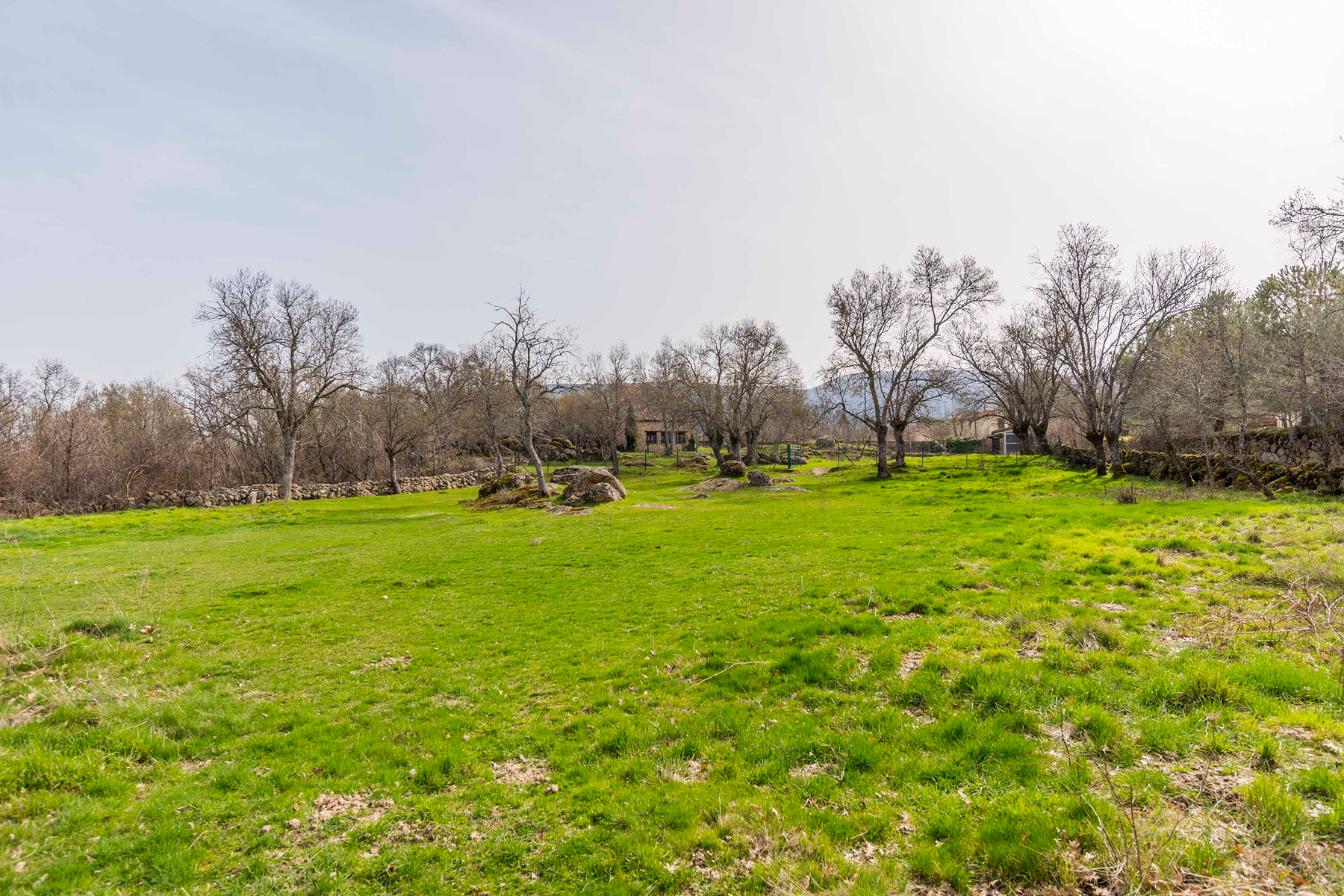  Spectacular estate for promotion in Sotosalbos, Segovia - 物件實景