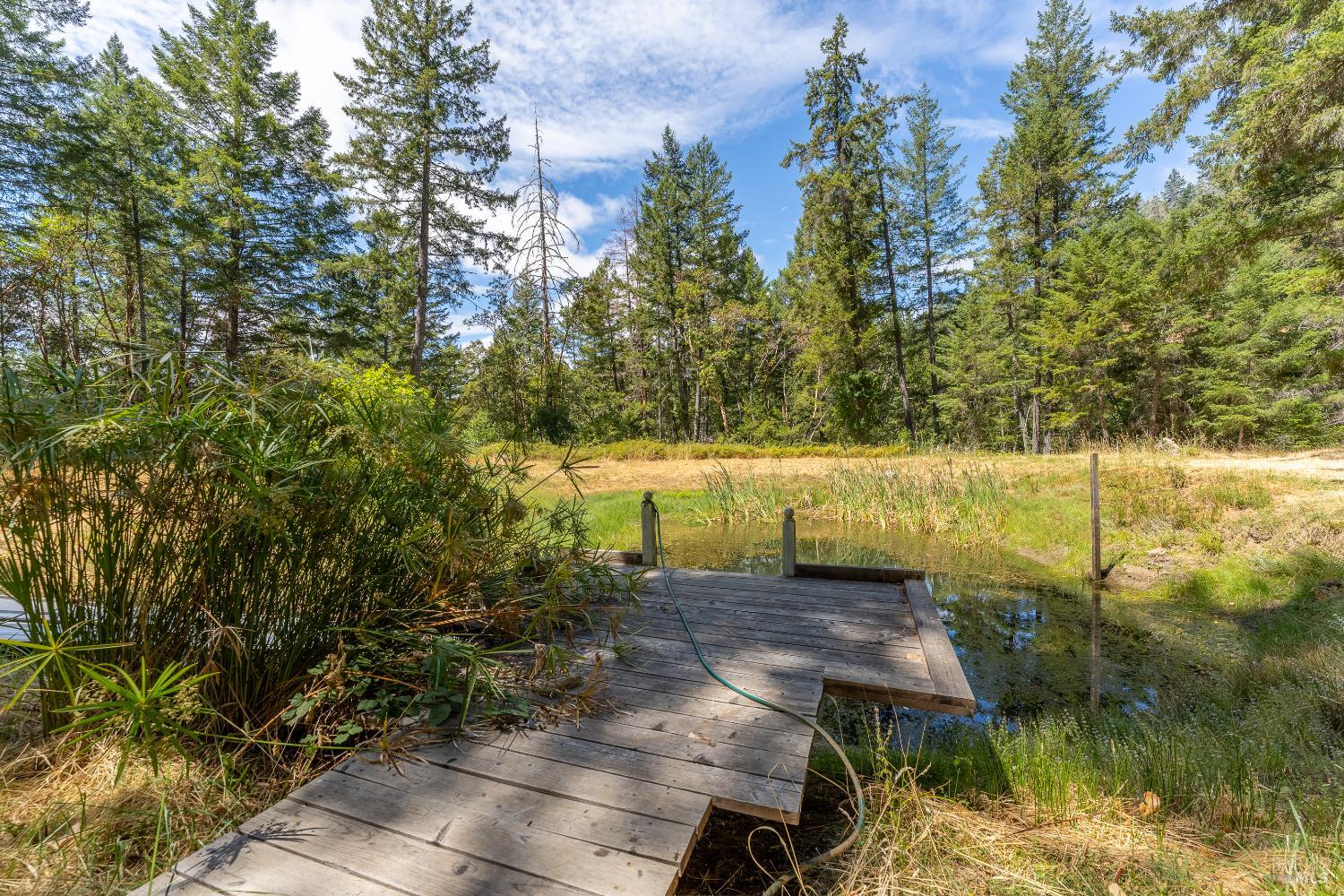 Ukiah, California, 95482, United States, 2 Bedrooms Bedrooms, ,1 BathroomBathrooms,Residential,For Sale,1925334