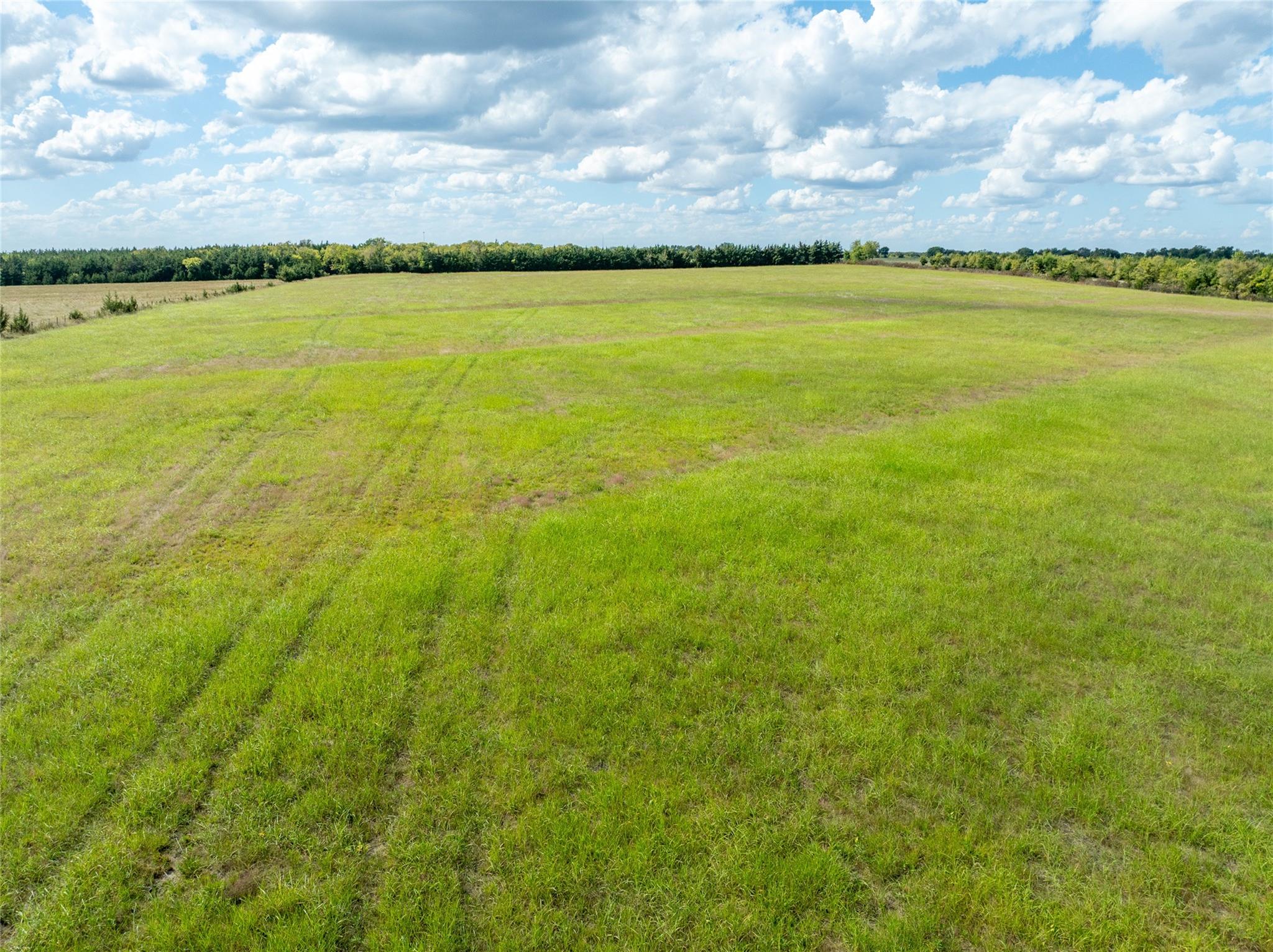 Blossom, Texas, 75416, United States, ,Residential,For Sale,1977937