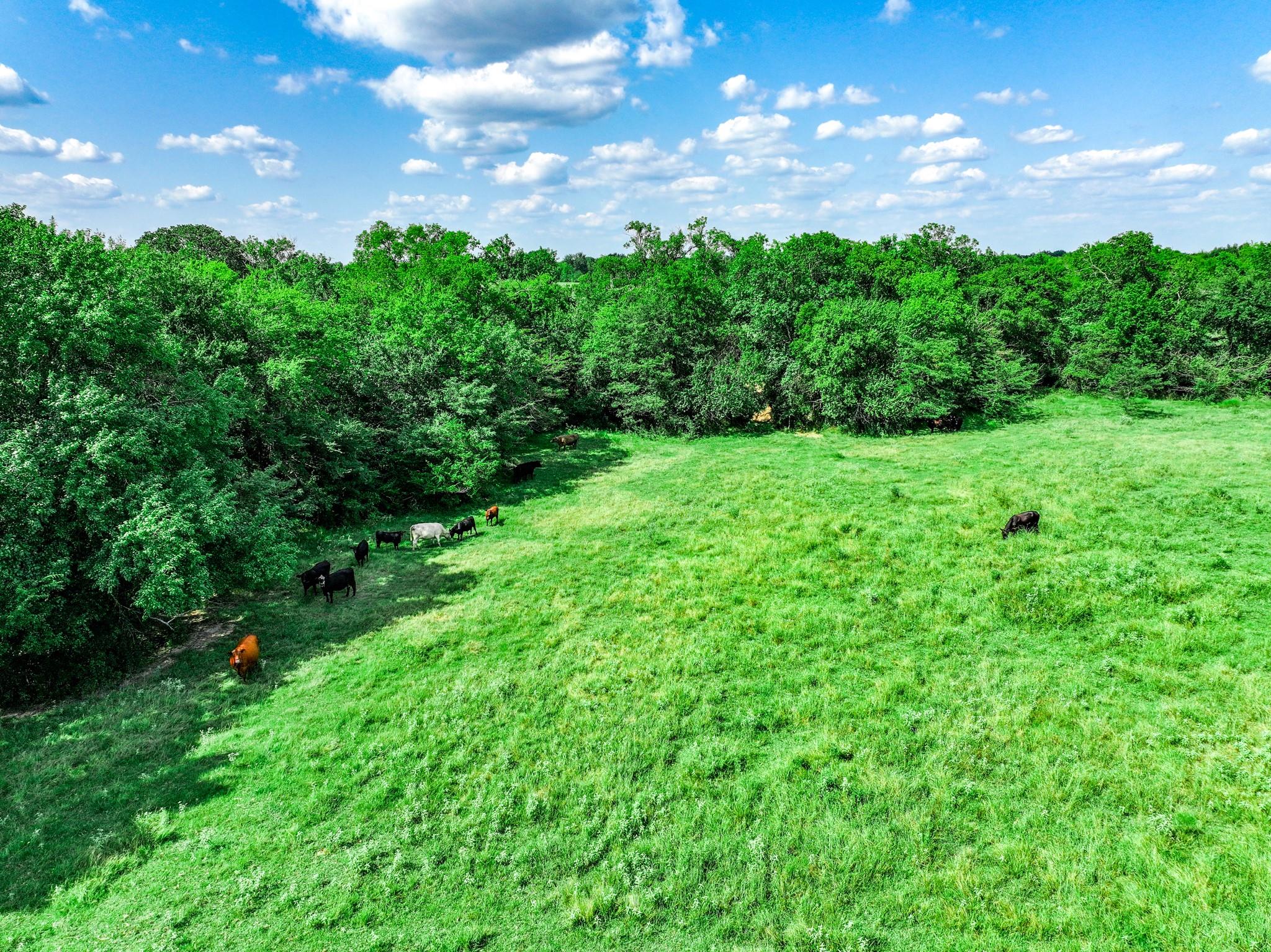 Cumby, Texas, 75433, United States, 3 Bedrooms Bedrooms, ,2 BathroomsBathrooms,Residential,For Sale,1976909