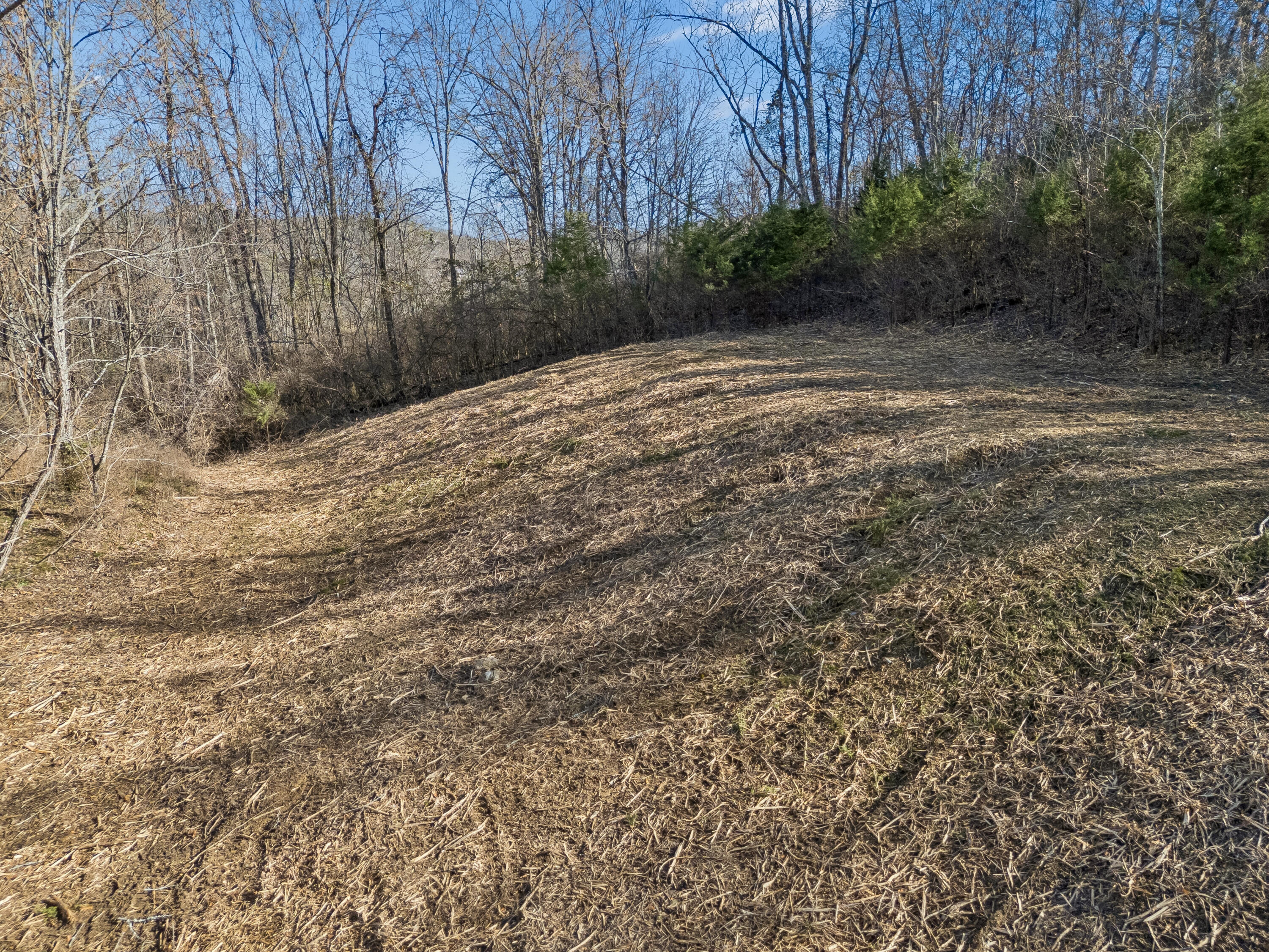 Brentwood, Tennessee, 37027, United States, ,Land,For Sale,2005446