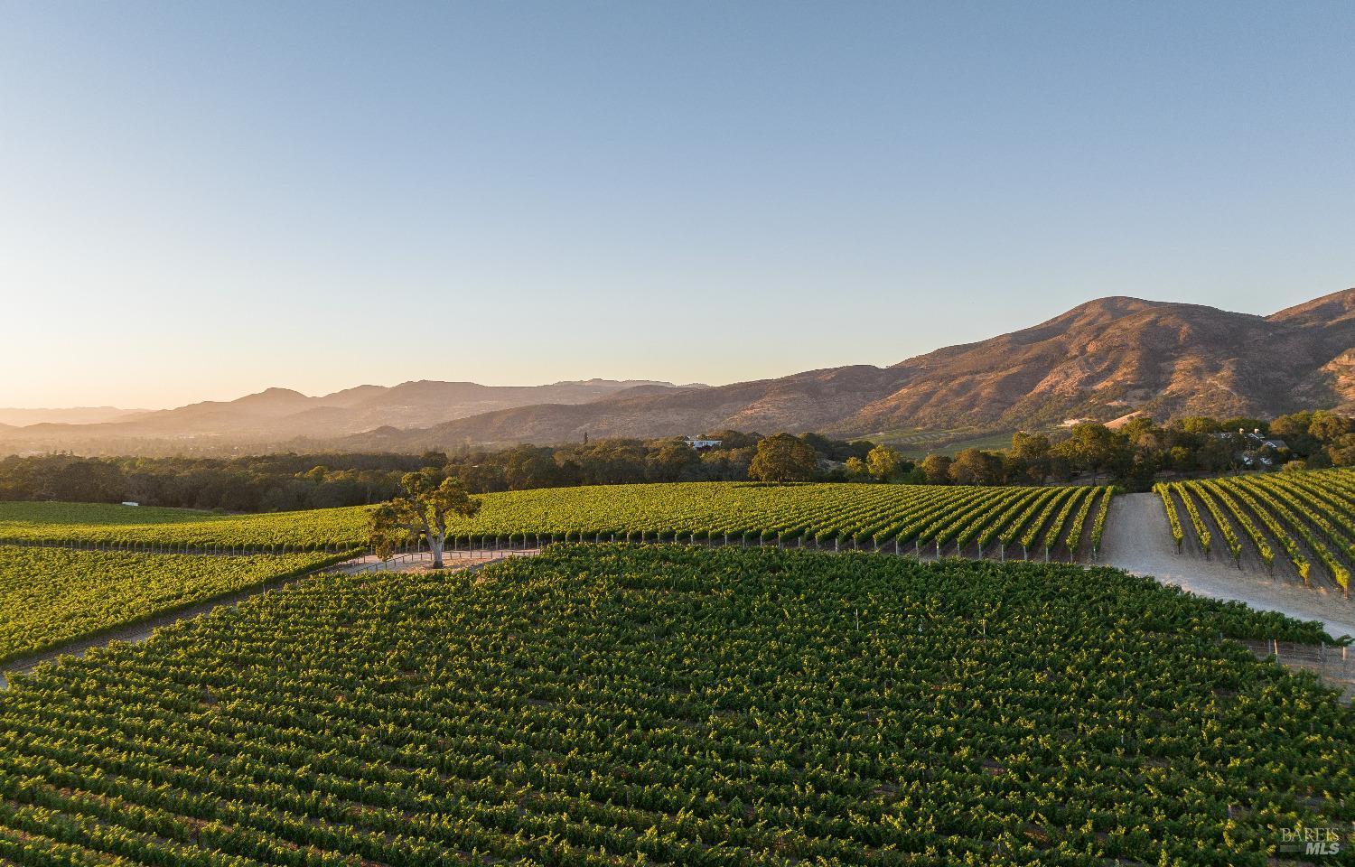 Napa, California, 94558, United States, 7 Bedrooms Bedrooms, ,11 BathroomsBathrooms,Residential,For Sale,1766970