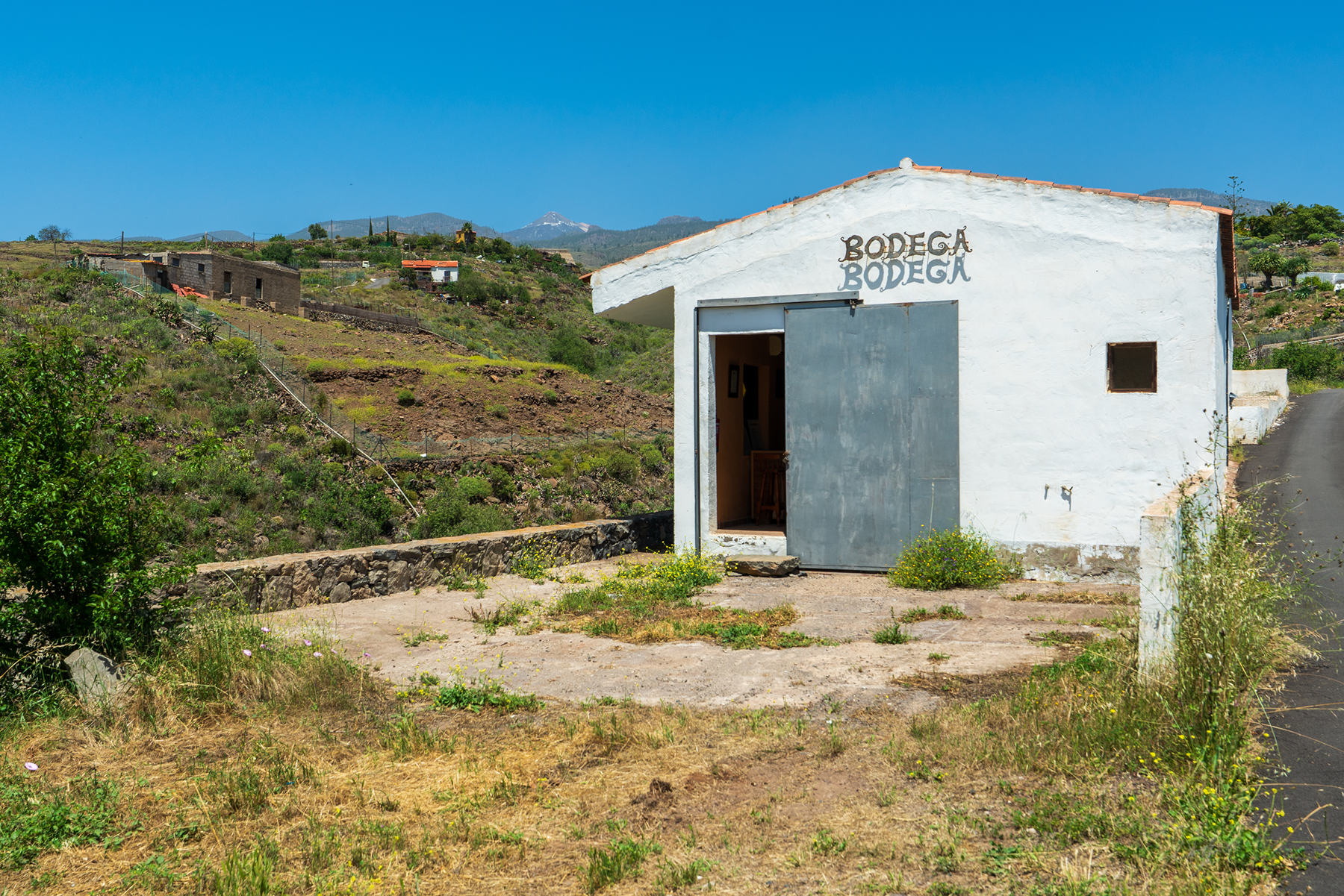  Traditional Agricultural Estate with Winery in Tenerife South - 物件實景