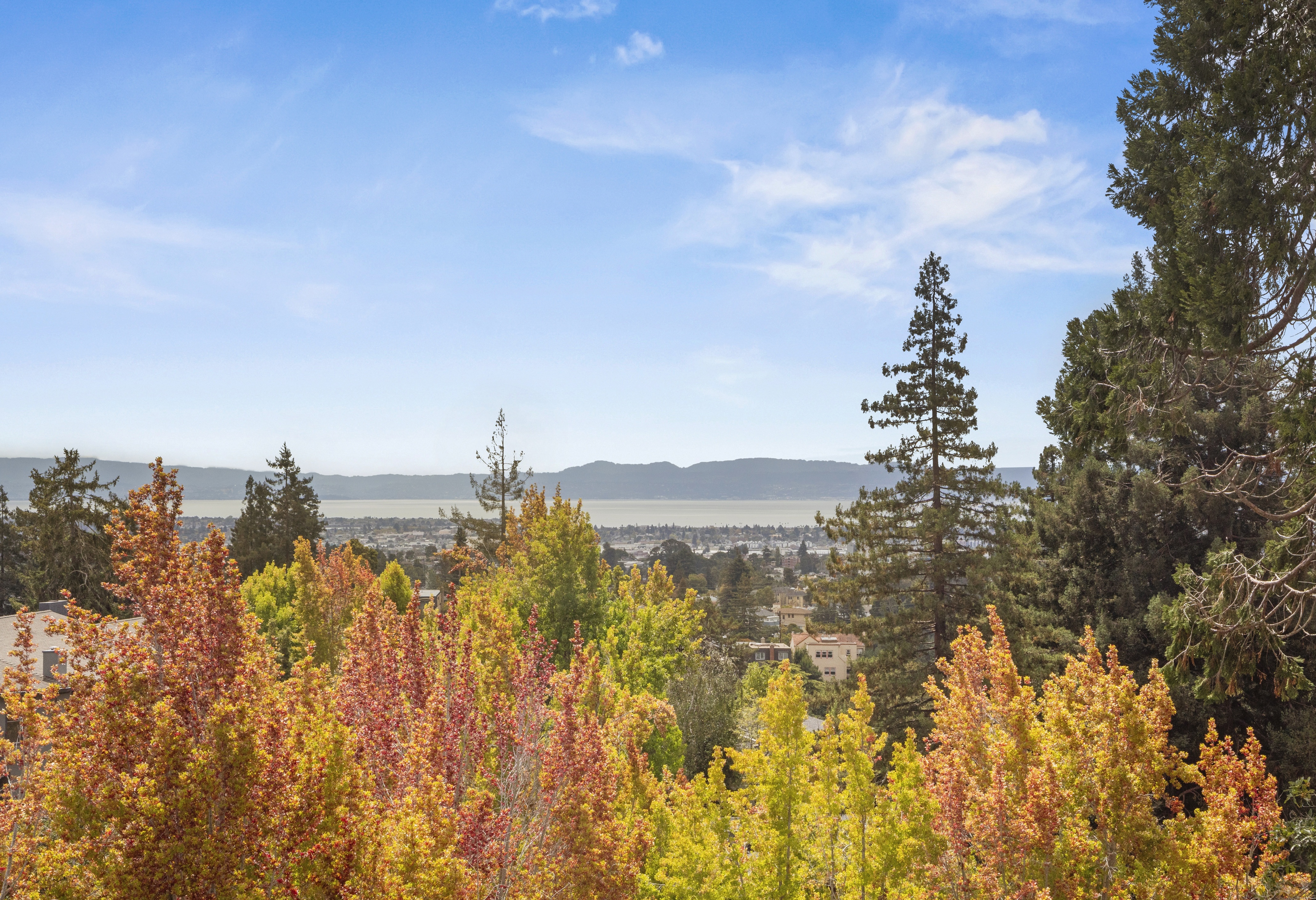 A Cherished Upper Piedmont Estate with Exceptional Views and Gardens - 物件實景
