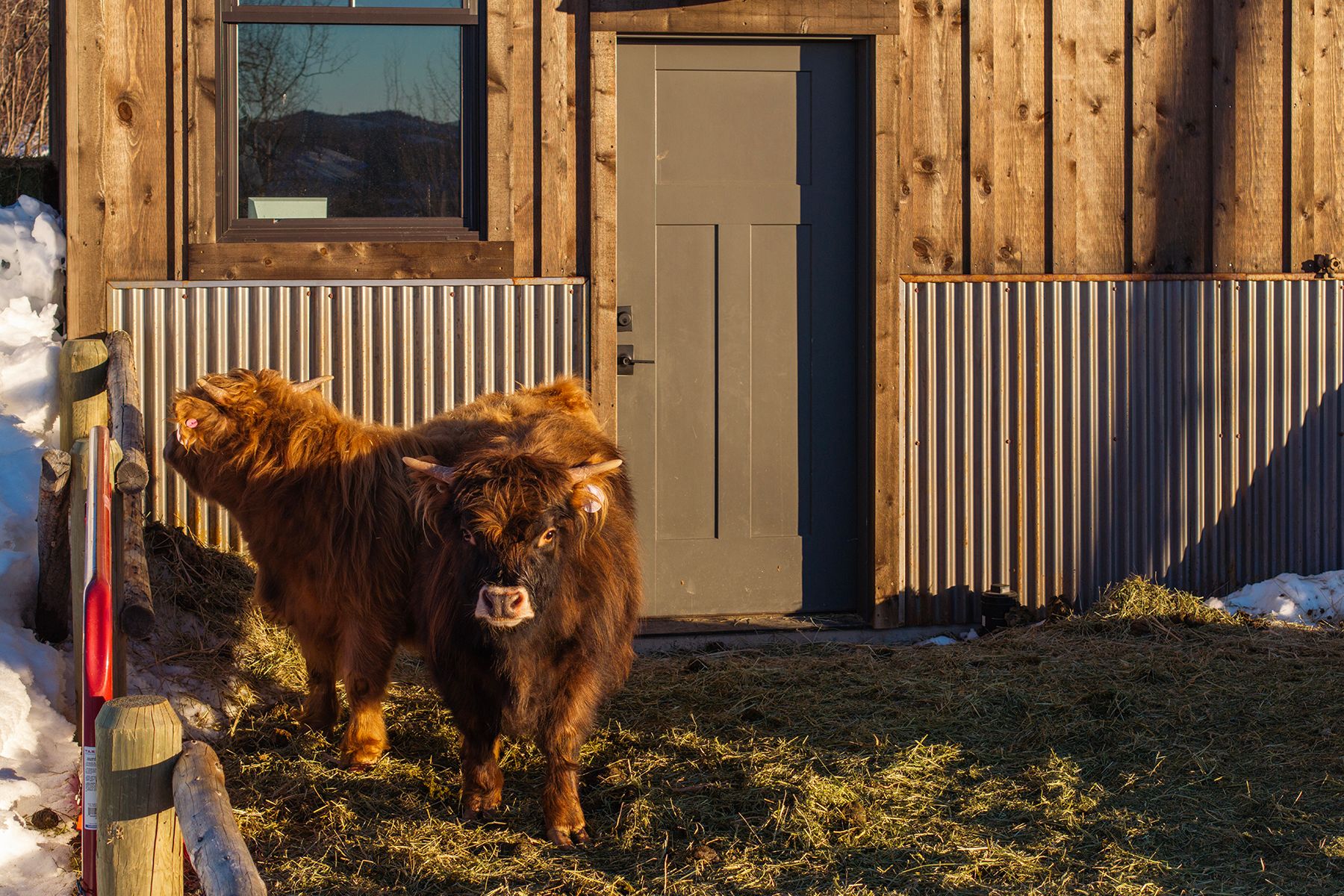  Privacy in Bedford - 物件實景