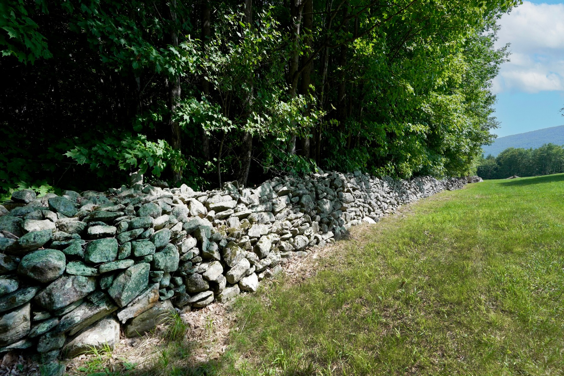  Escape to Moosewalk Lane. - 物件實景