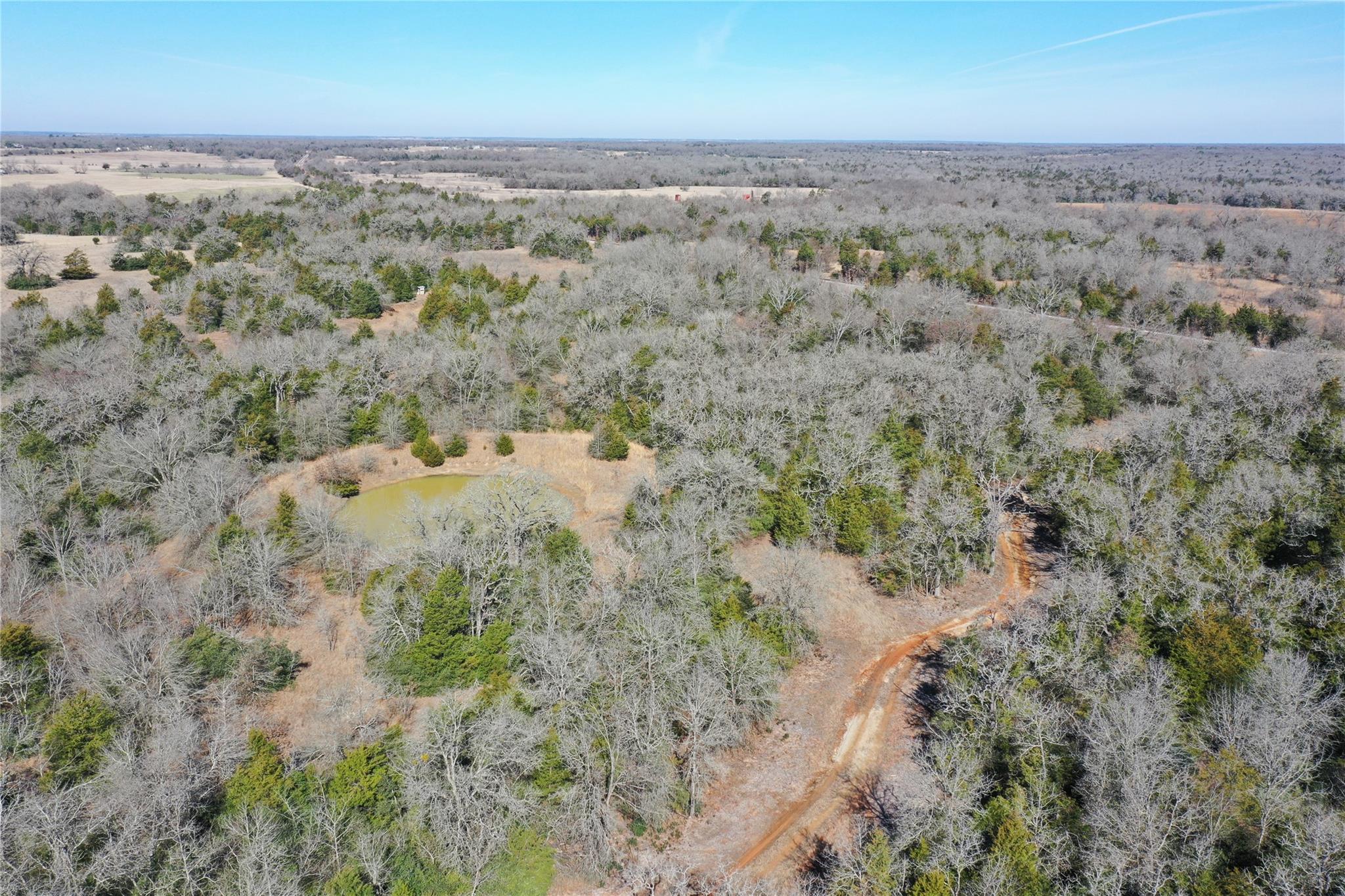 1151 Fowler Road, Bremond, Texas, 76629, United States, ,Land,For Sale,1151 Fowler Road,1621605