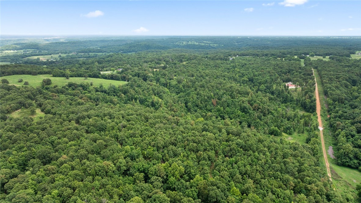 Noel, Missouri, 64854, United States, ,Land,For Sale,1785483