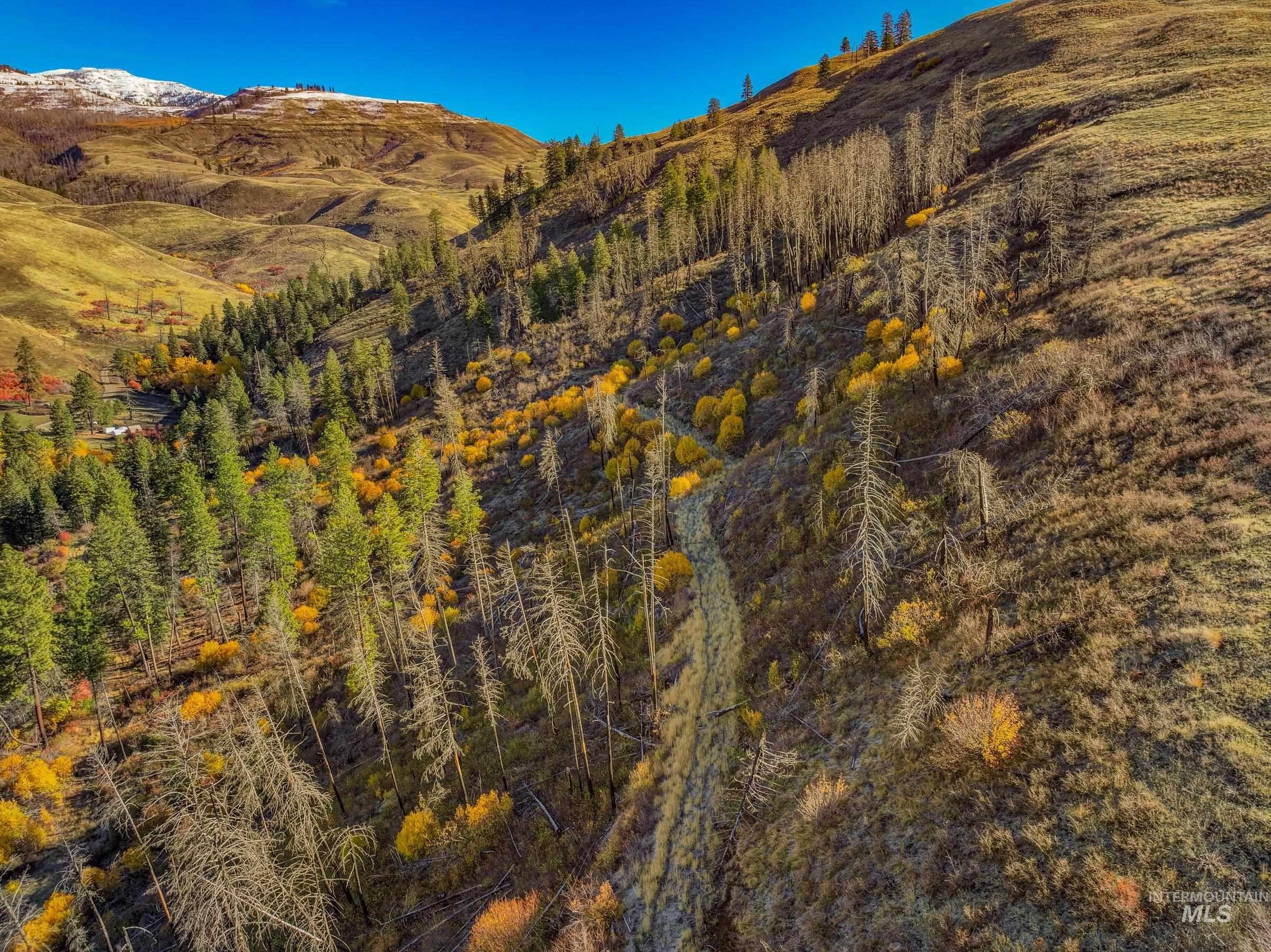 Council, Idaho, 83612, United States, ,Land,For Sale,1981211