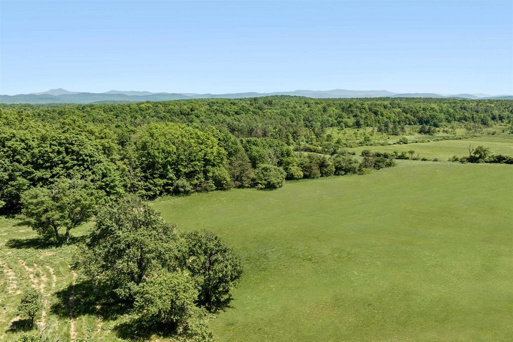  1555 Spear Street - 物件實景