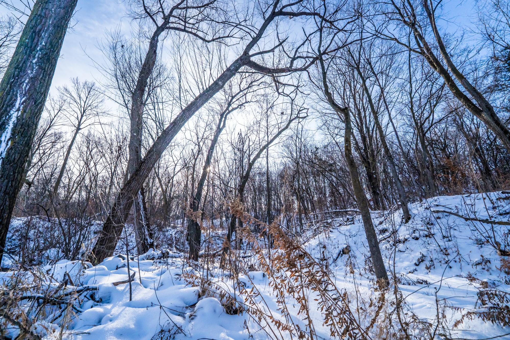 Otsego, Minnesota, 55362, United States, 3 Bedrooms Bedrooms, ,2 BathroomsBathrooms,Residential,For Sale,1995753