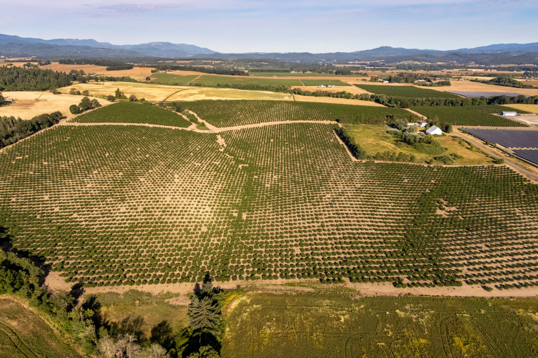  0 SW Frys LN Sheridan, OR 97378 - 物件實景