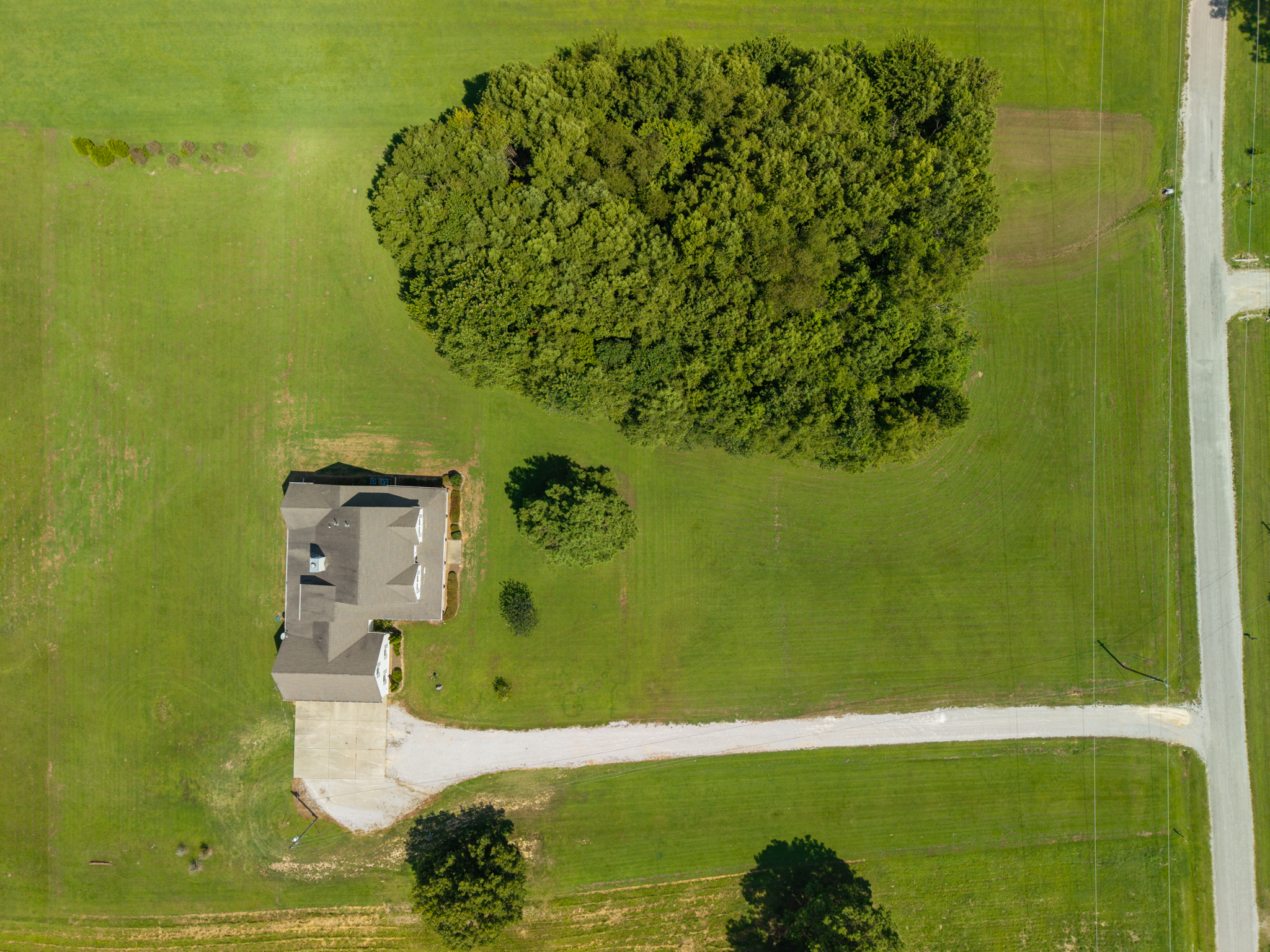  1550 Lakeview Drive, Collierville, TN 38017 - 物件實景