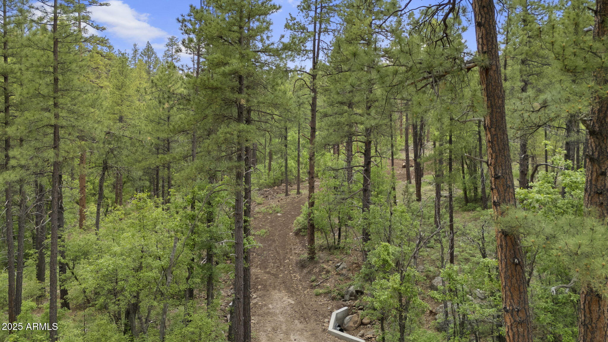 Munds Park, Arizona, 86017, United States, ,Land,For Sale,1865500