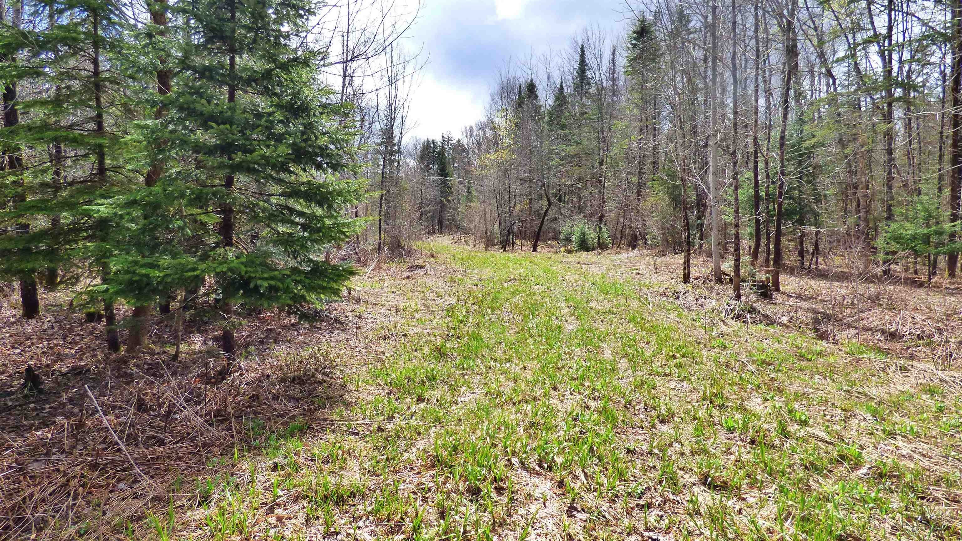 Wheelock, Vermont, 05851, United States, ,Land,For Sale,2017669