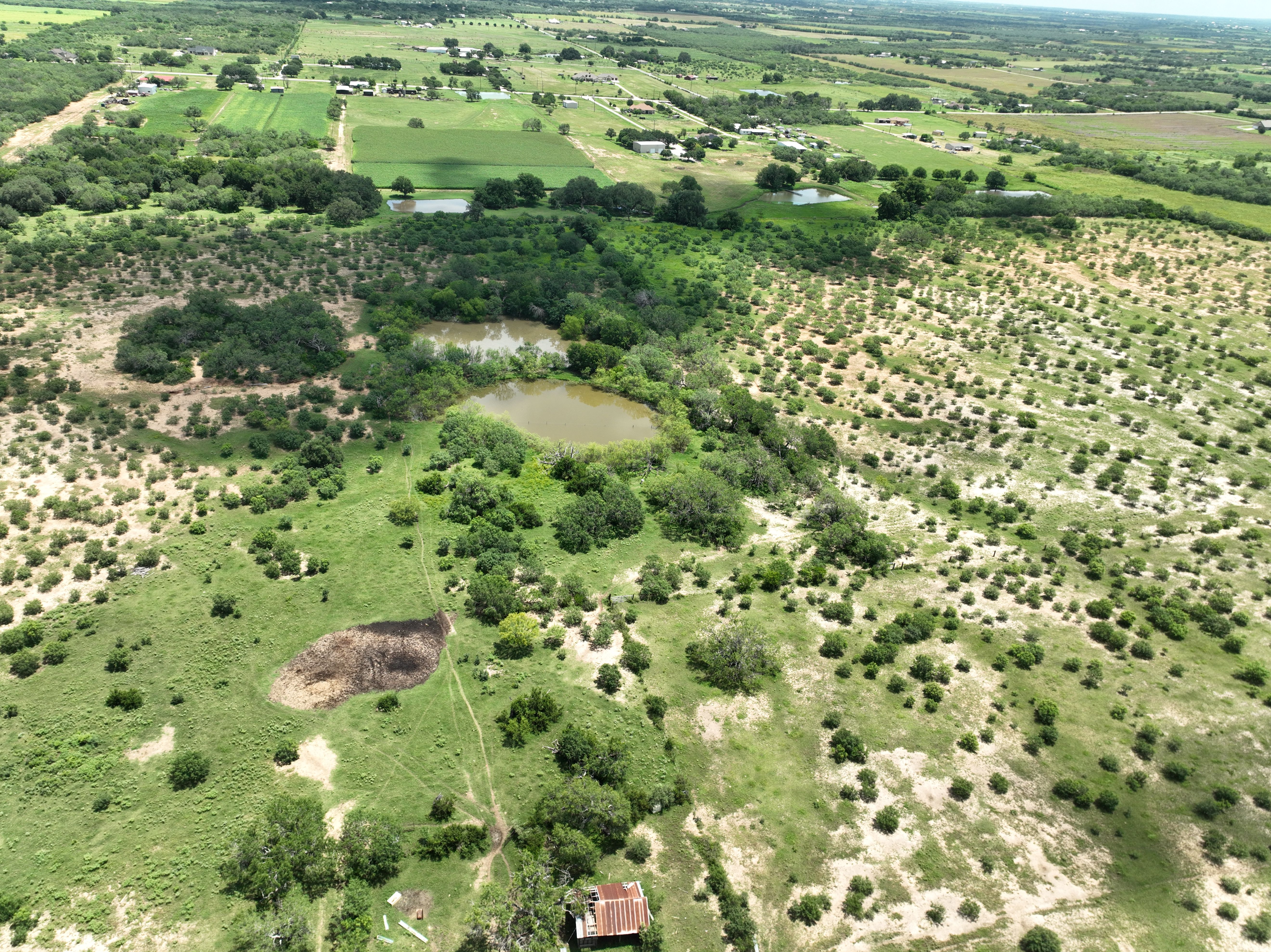  87.69+/- Acres in Bexar County - 物件實景